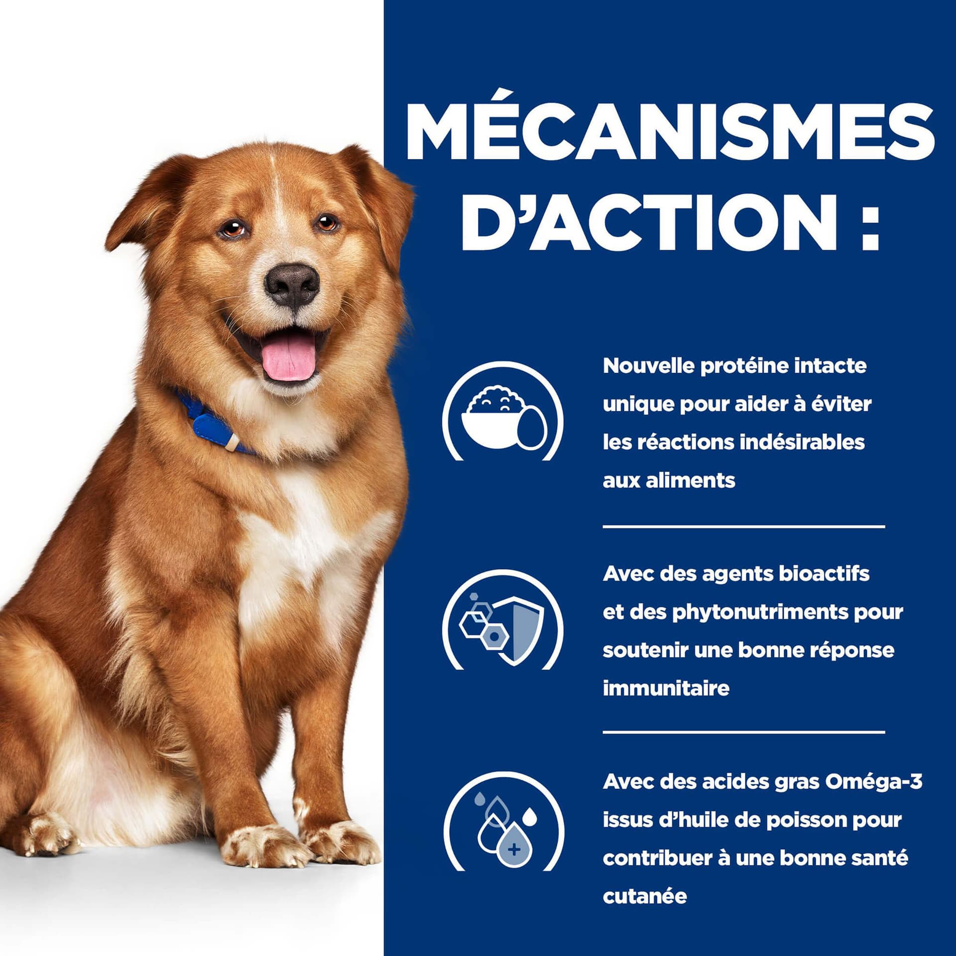 Hund Prescription Diet Derm Complete