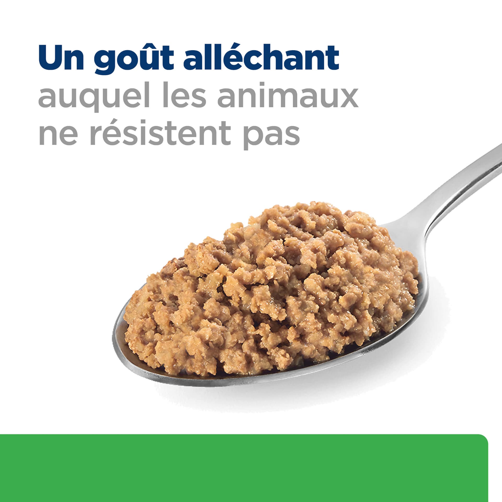 Hund Prescription Diet r/d