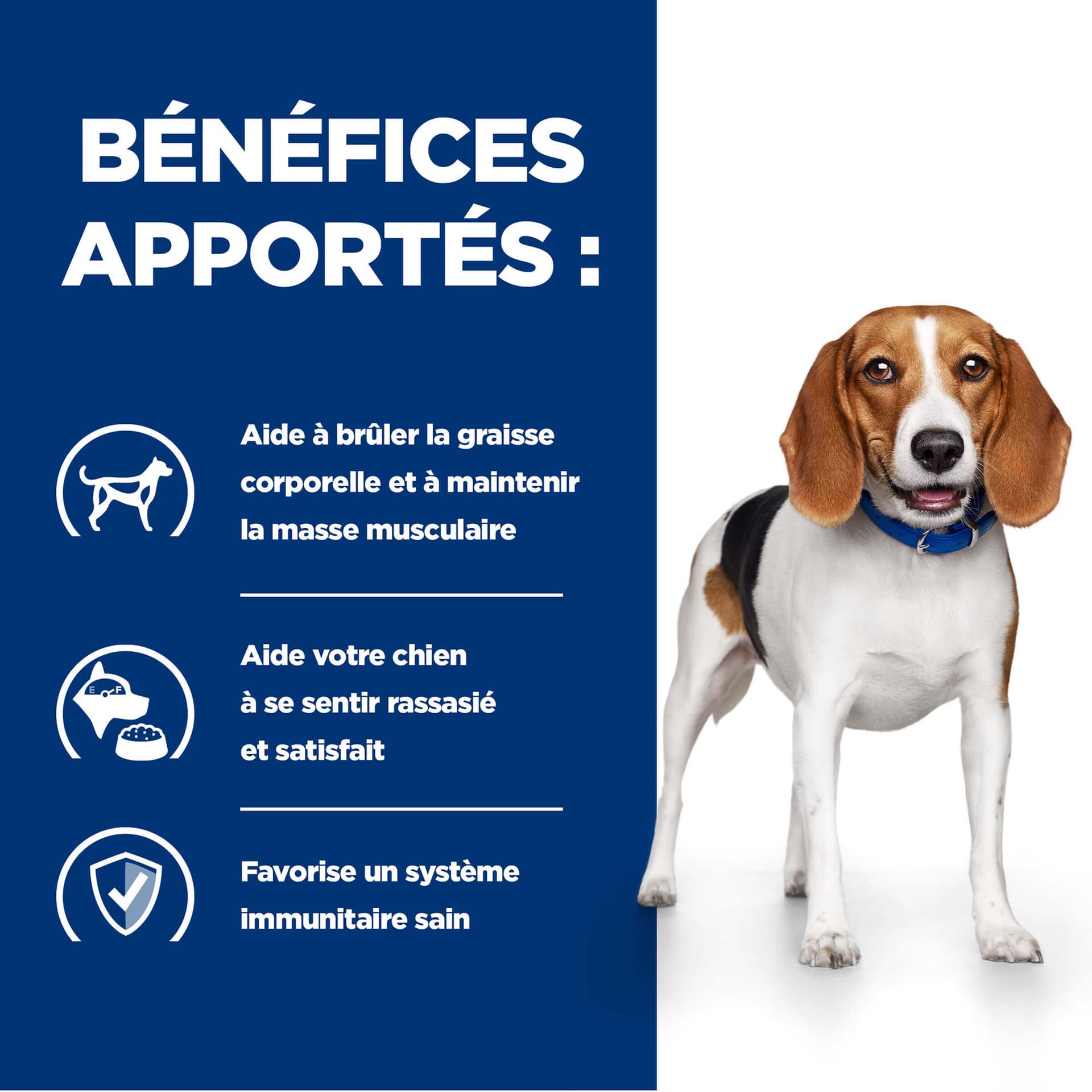 Hund Prescription Diet r/d