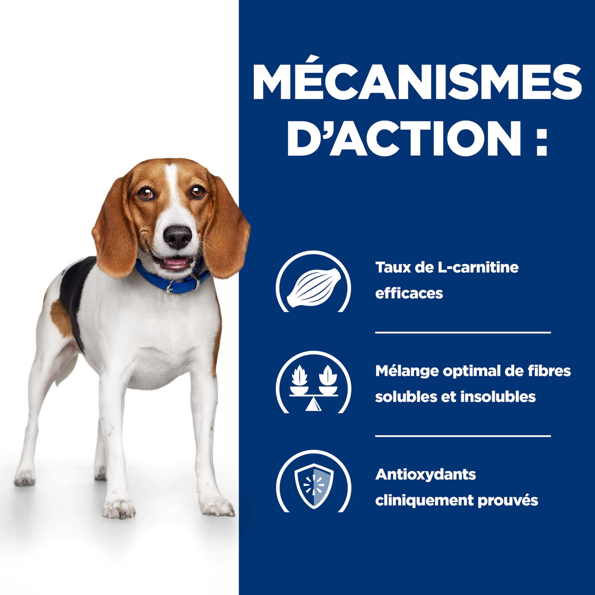 Hund Prescription Diet r/d