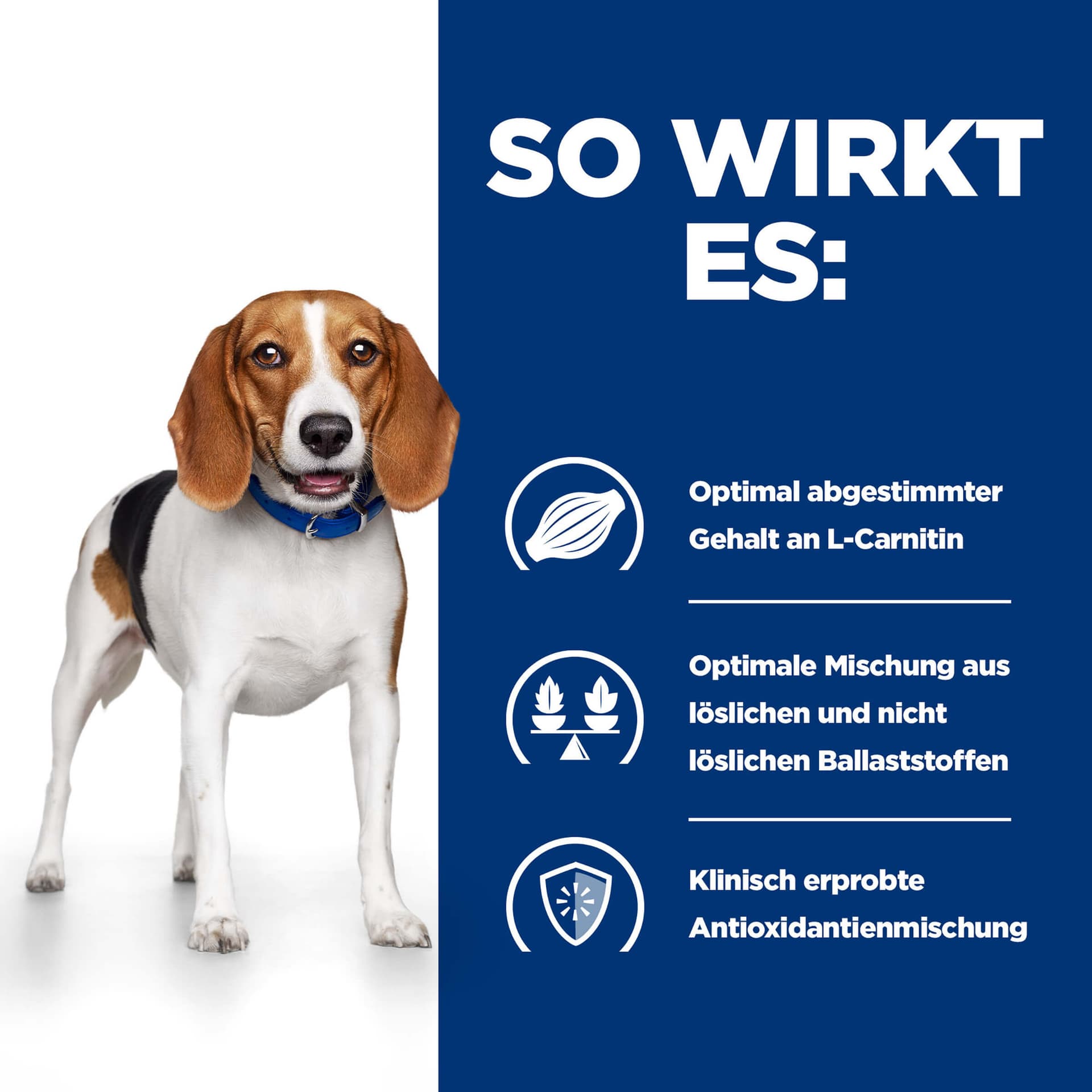 Hund Prescription Diet r/d