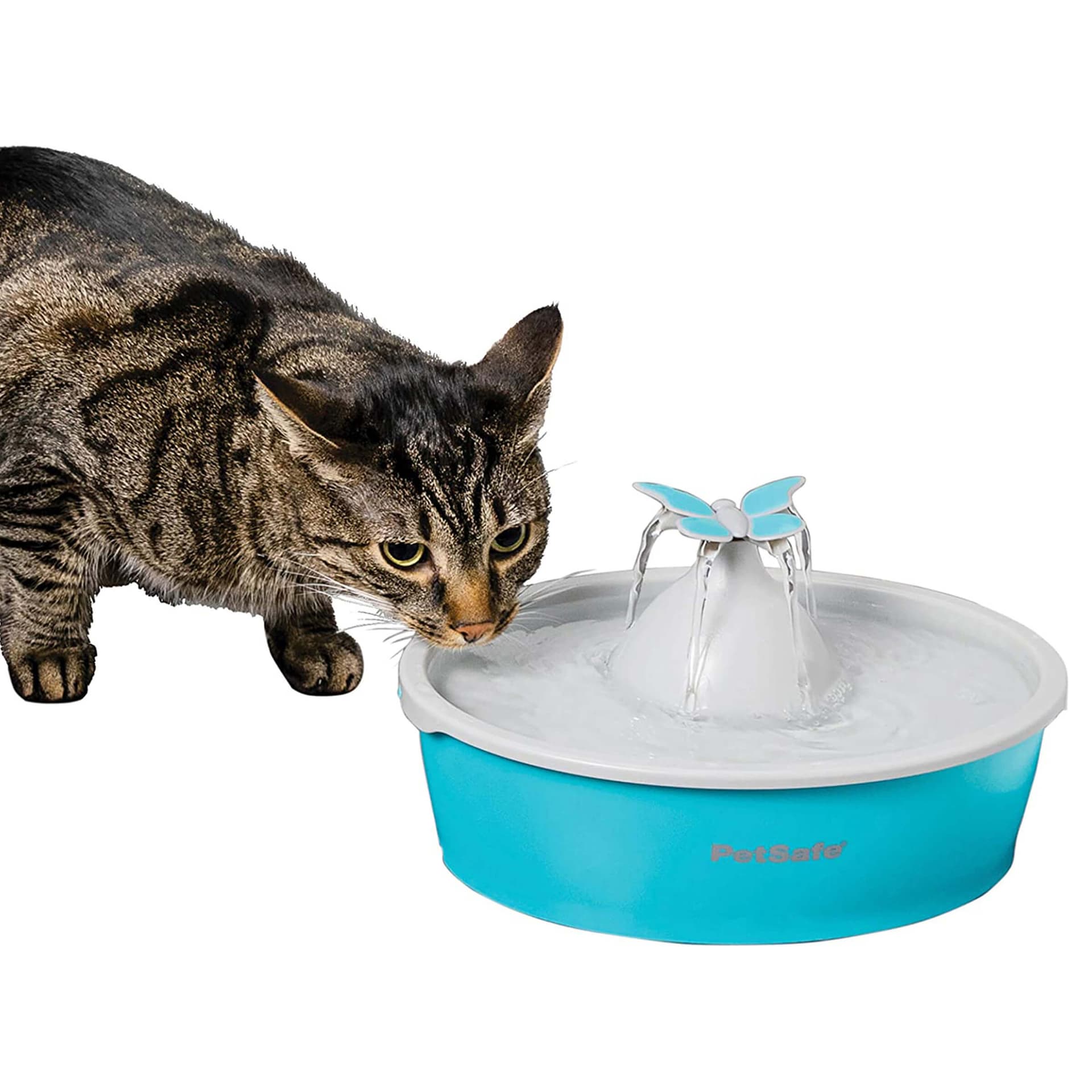 Drinkwell Butterfly Trinkbrunnen