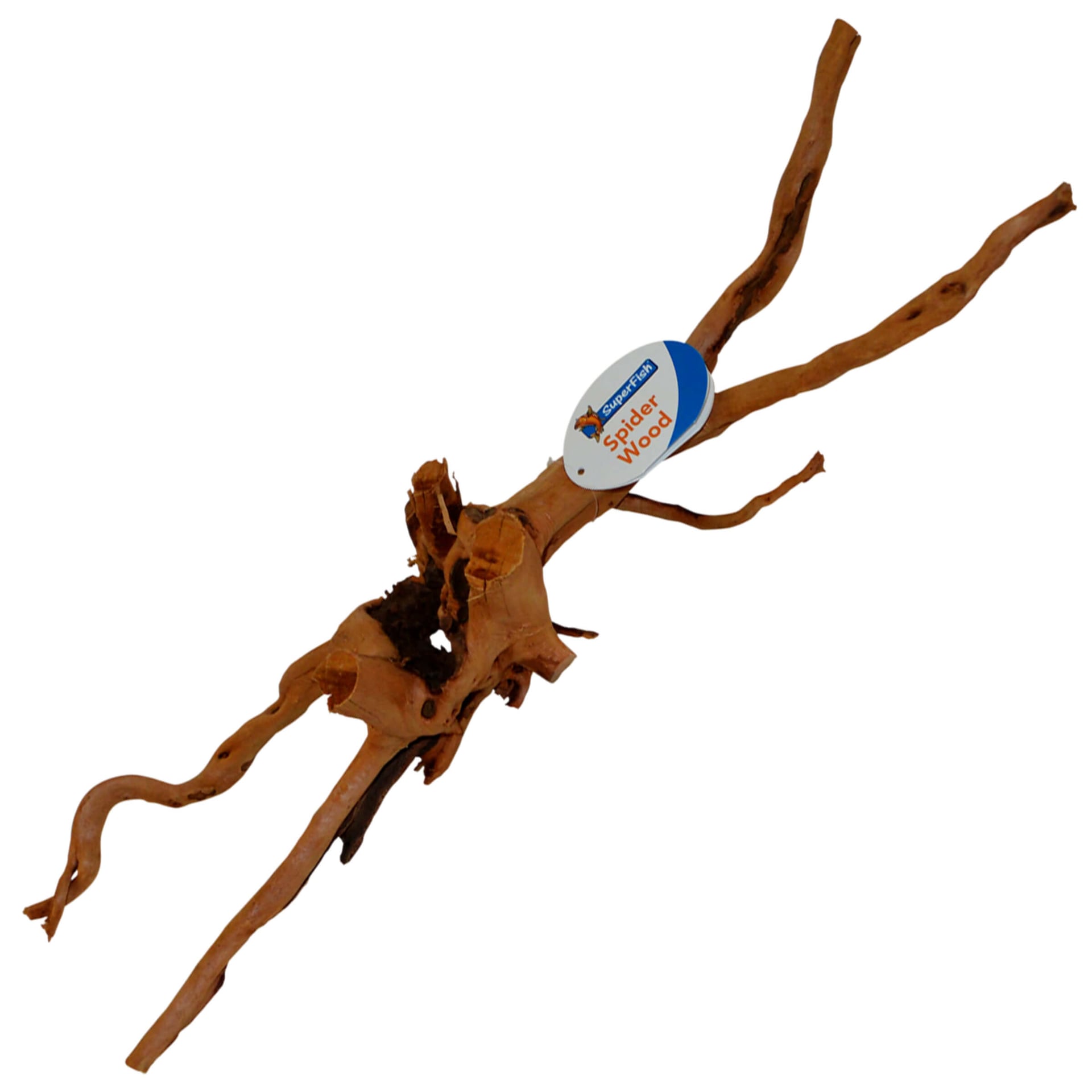 Spiderholz Wurzeln für Aquarien & Terrarien