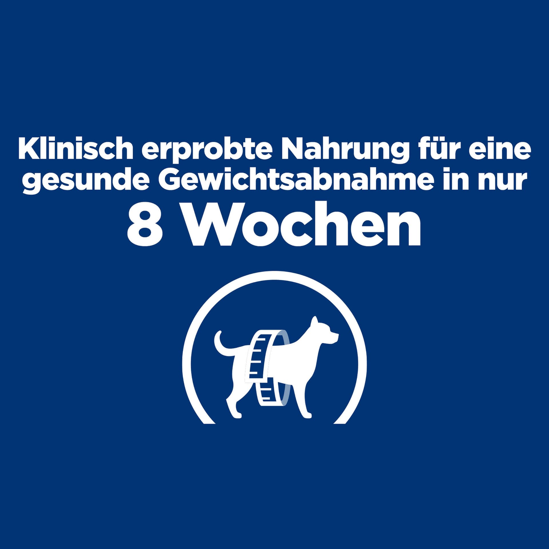 Hund Prescription Diet r/d