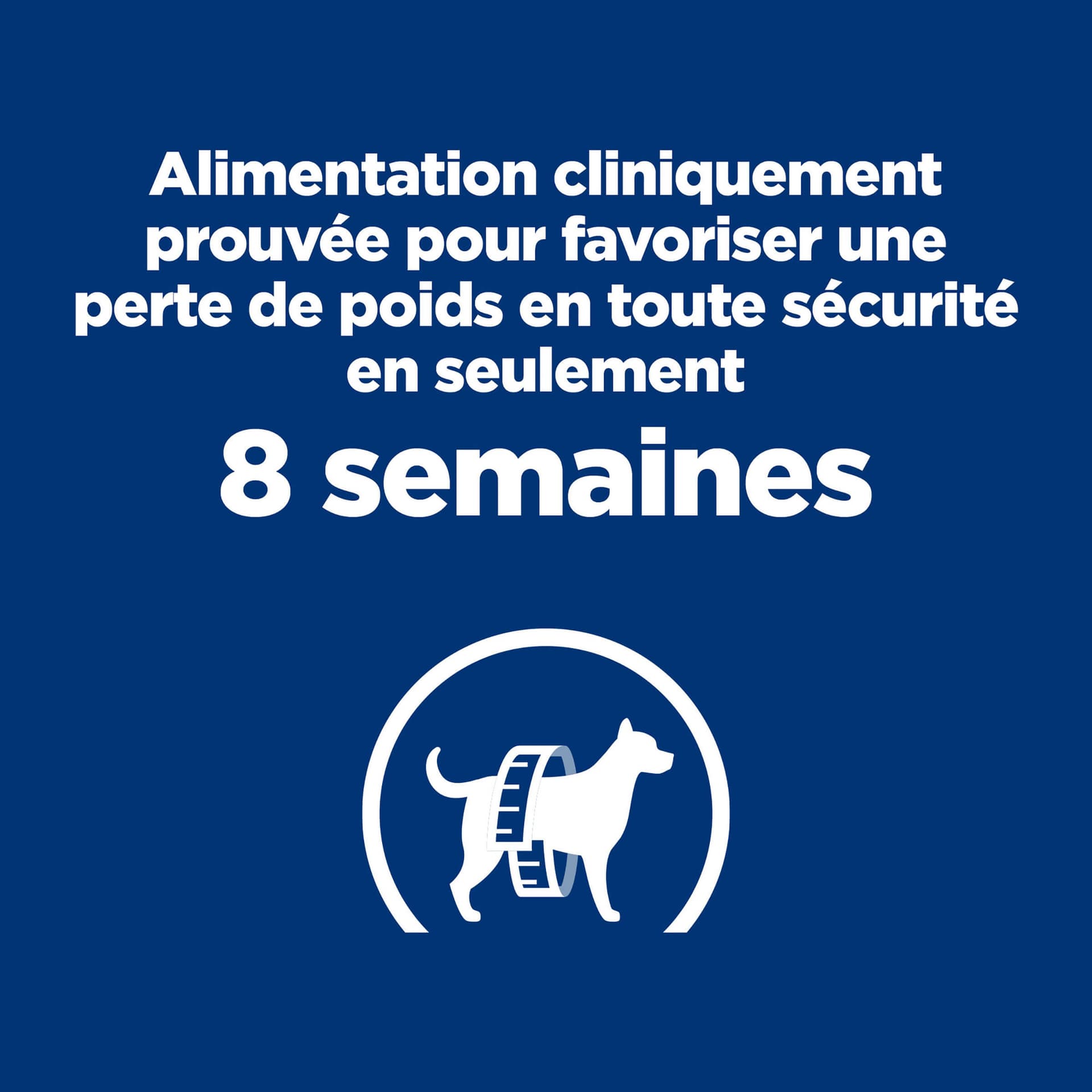 Hund Prescription Diet r/d