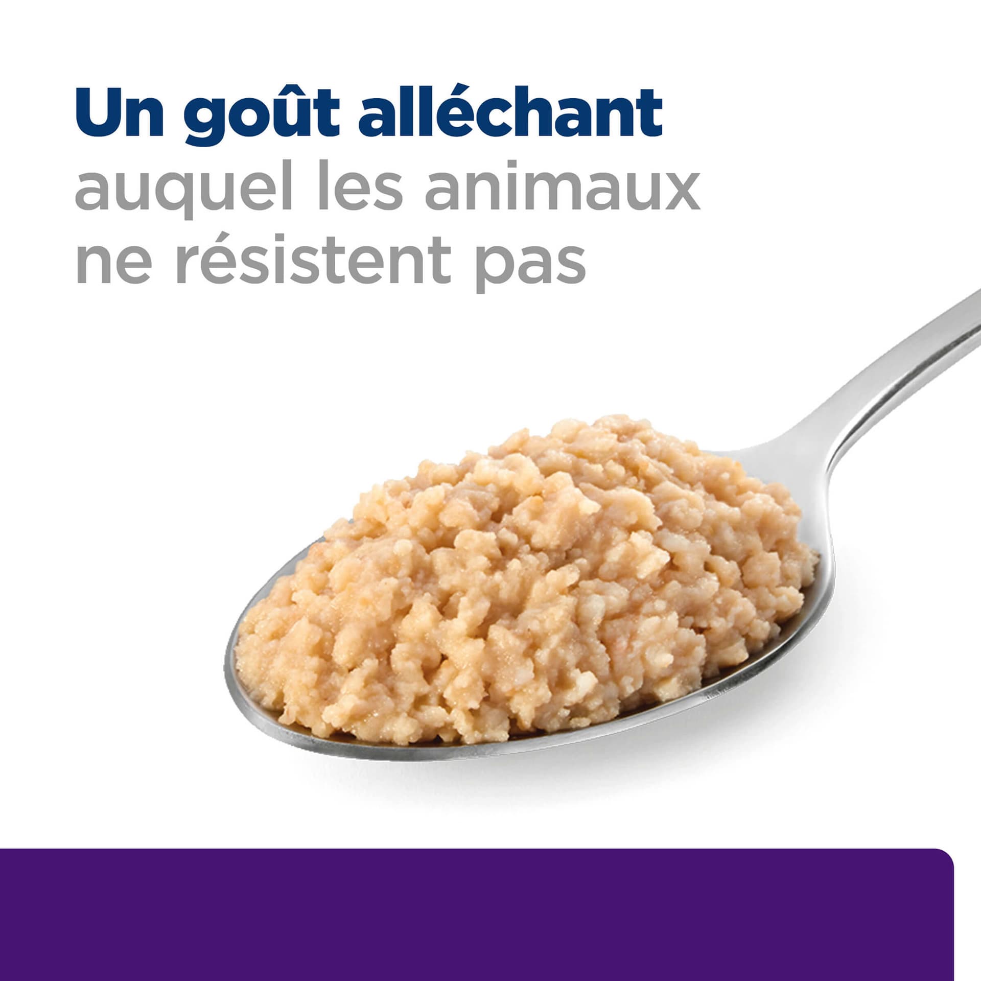 Hund Prescription Diet u/d