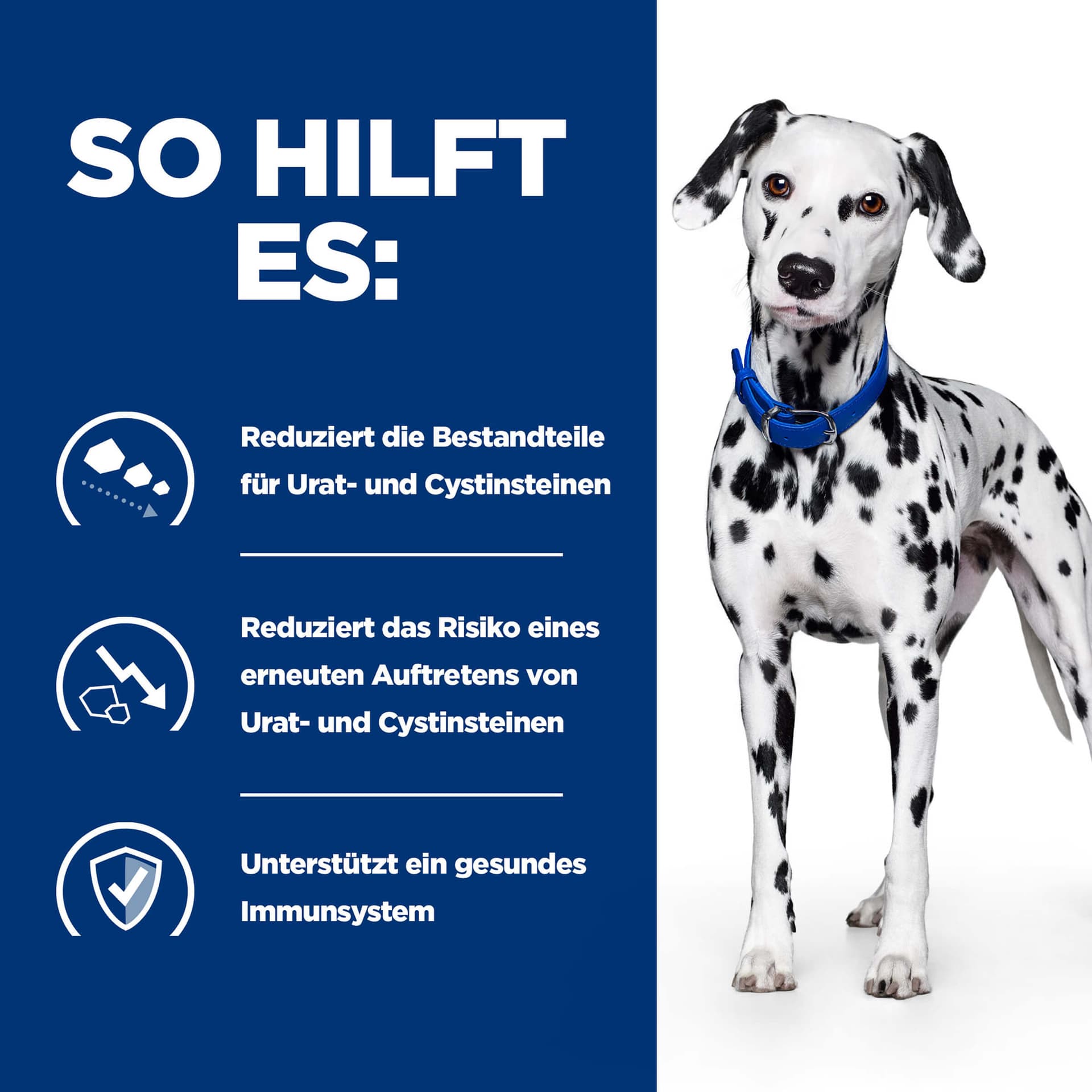 Hund Prescription Diet u/d