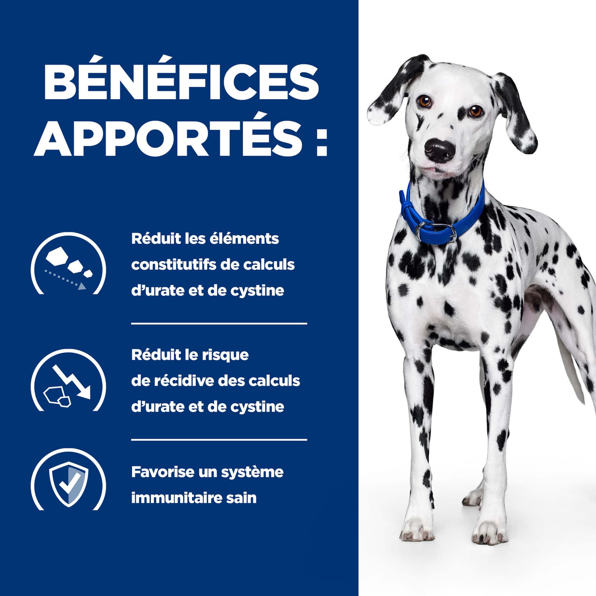 Hund Prescription Diet u/d