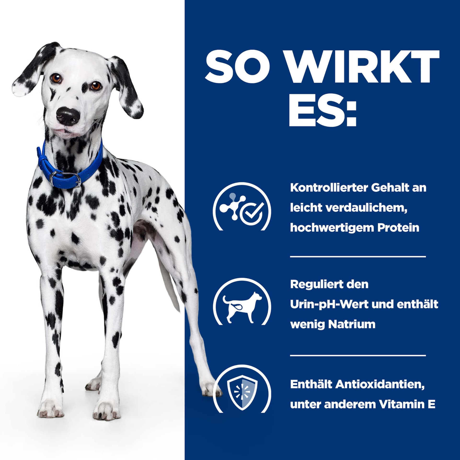Hund Prescription Diet u/d
