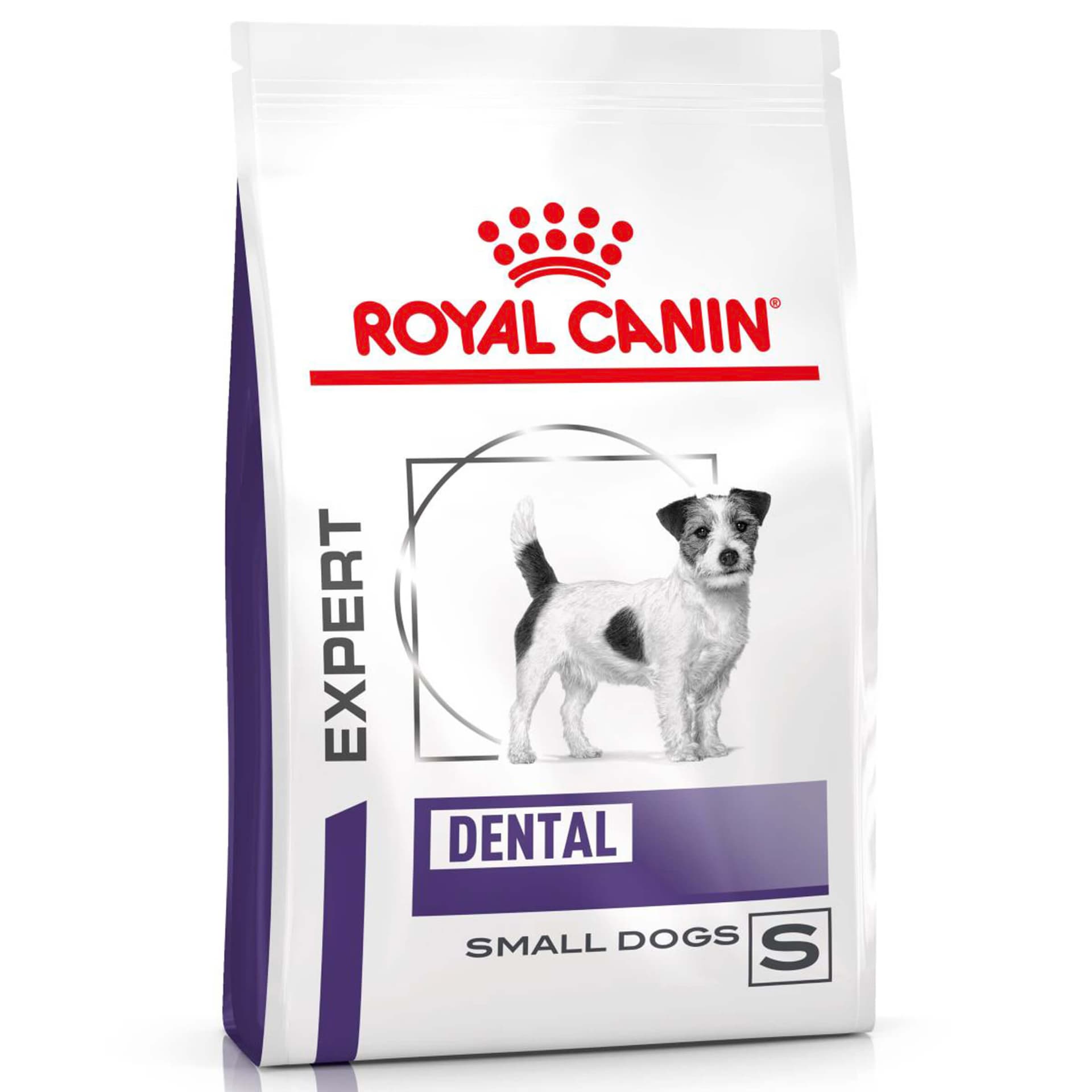 Small Dental