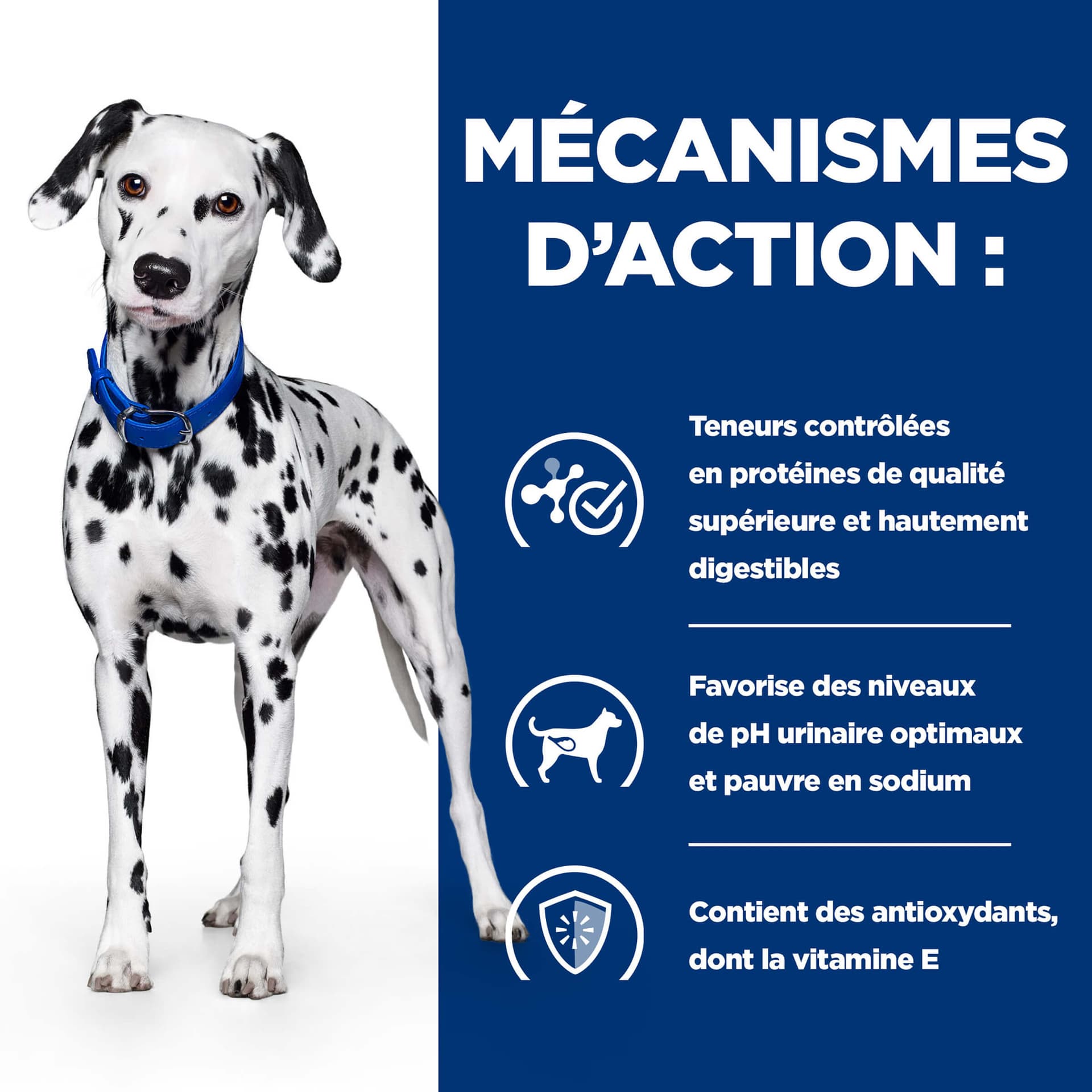 Hund Prescription Diet u/d