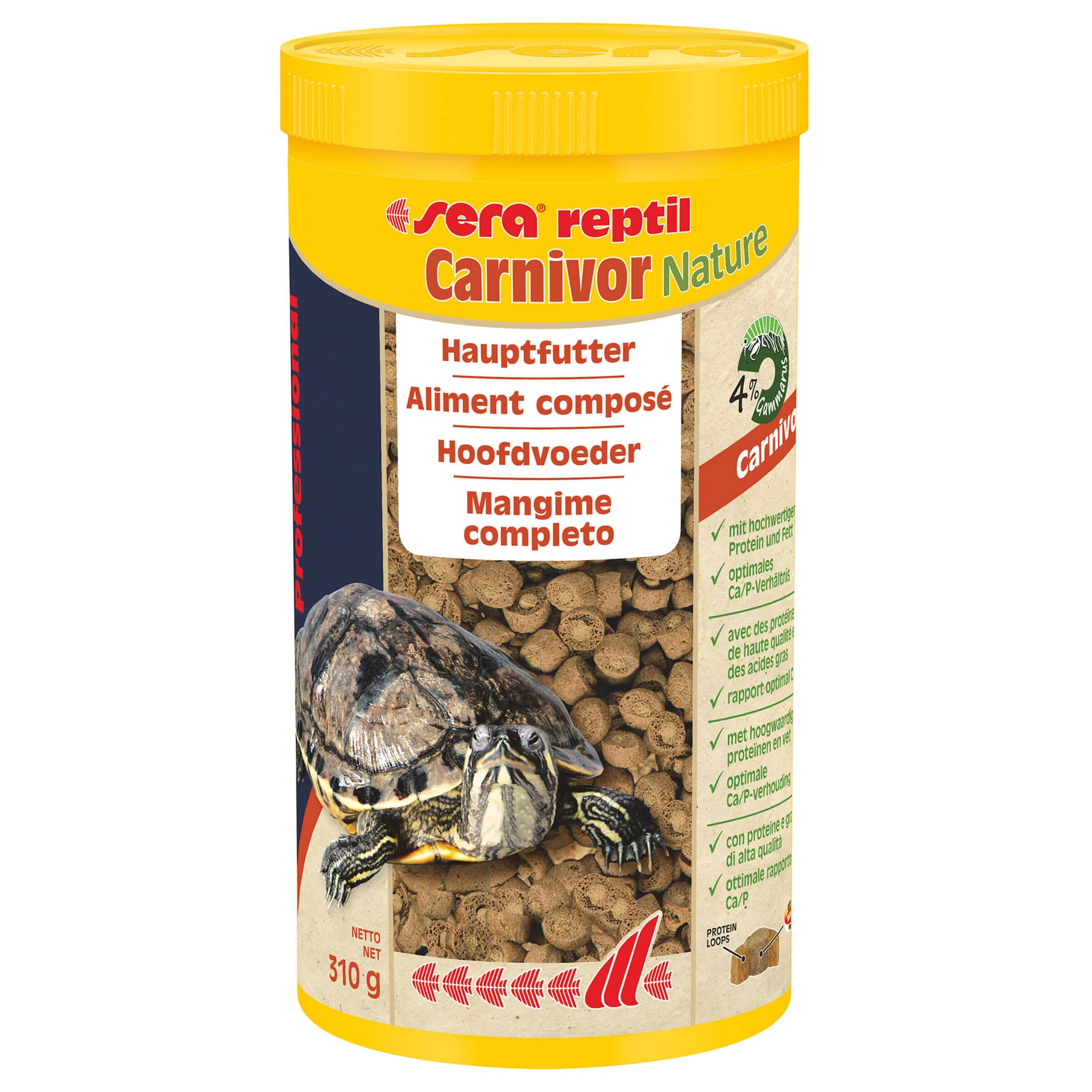 Reptil Carnivor nature