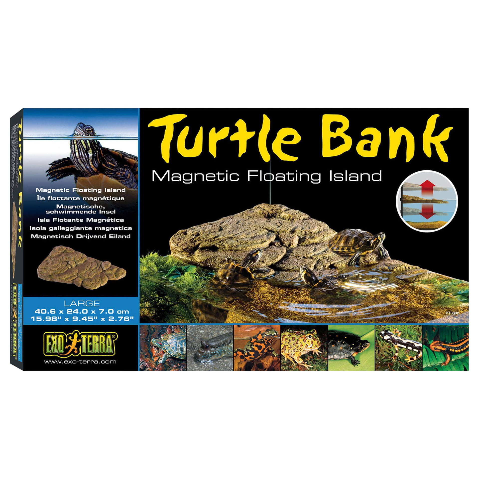 Turtle Bank