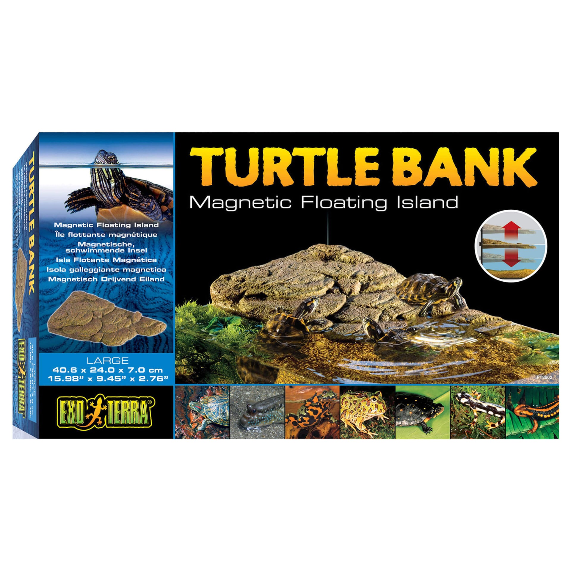 Turtle Bank