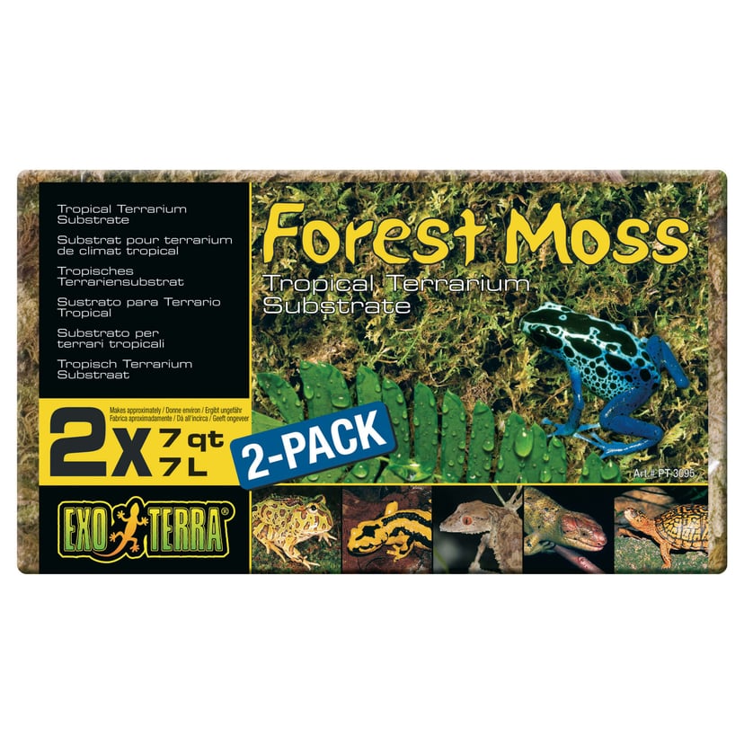 Forest Moss Terrariensubstrat