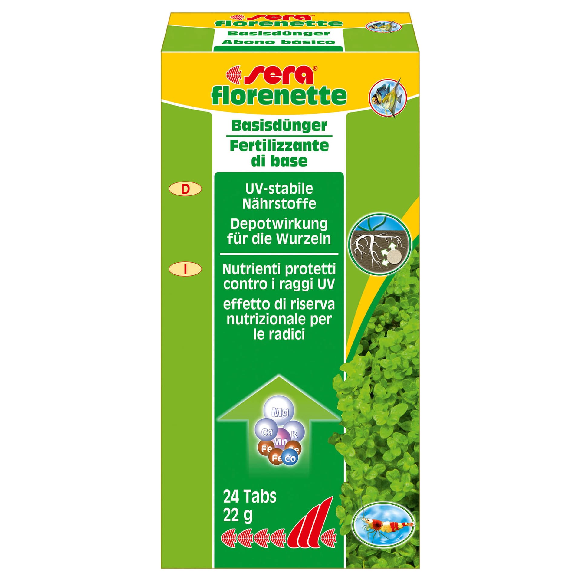 Florenette A
