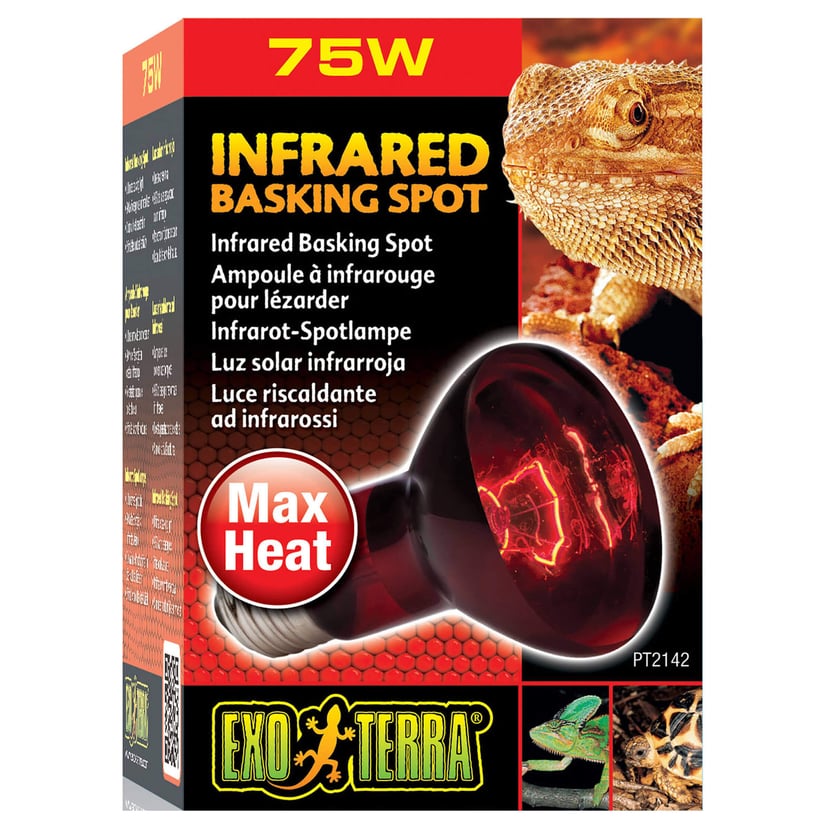 Infrared Basking Spot R20