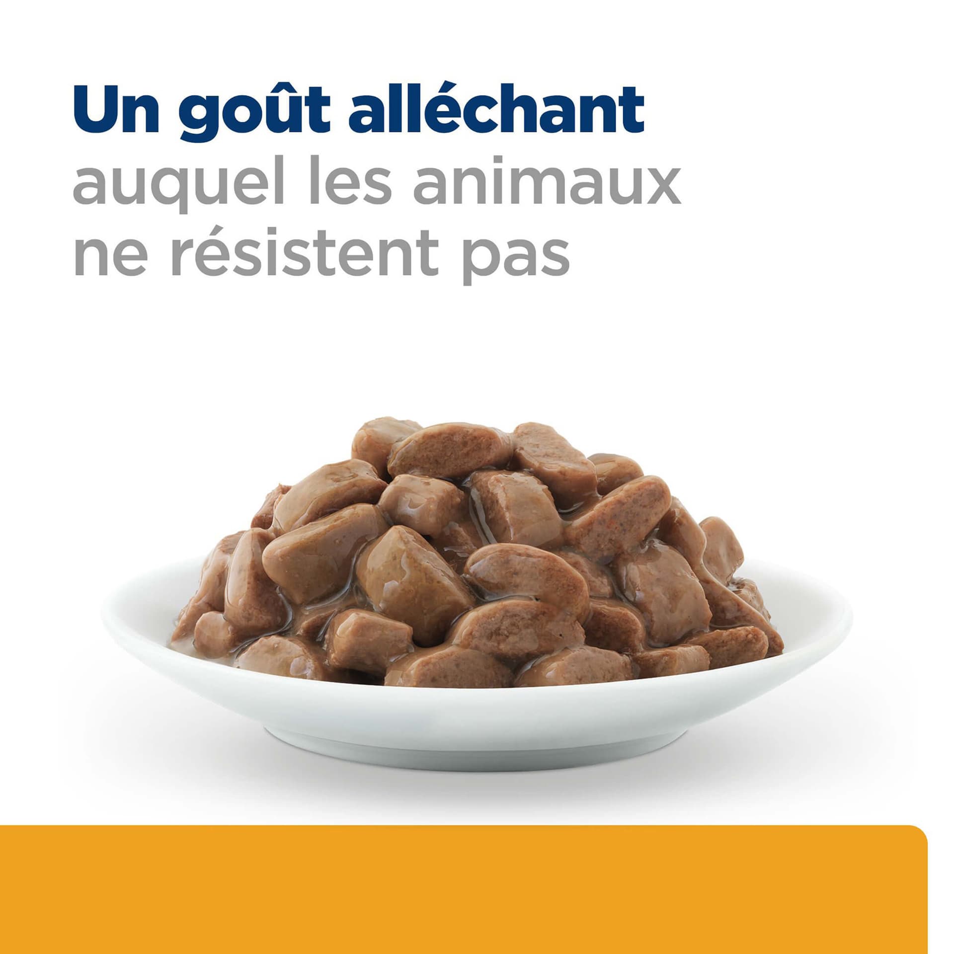 Katze Prescription Diet c/d Multicare Urinary Huhn