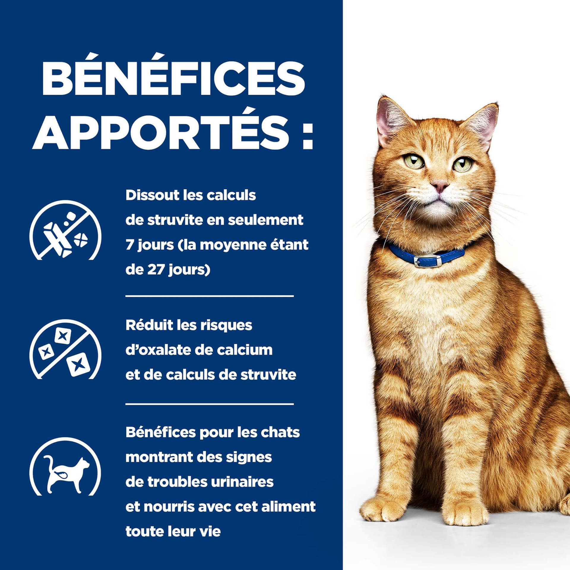 Katze Prescription Diet c/d Multicare Urinary Huhn