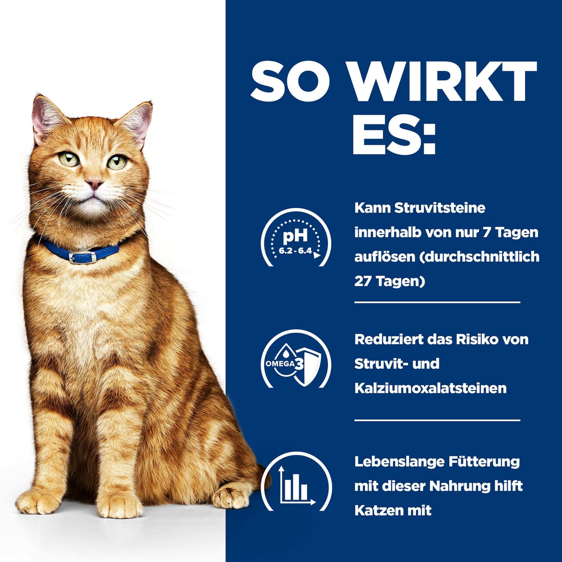Katze Prescription Diet c/d Multicare Urinary Huhn