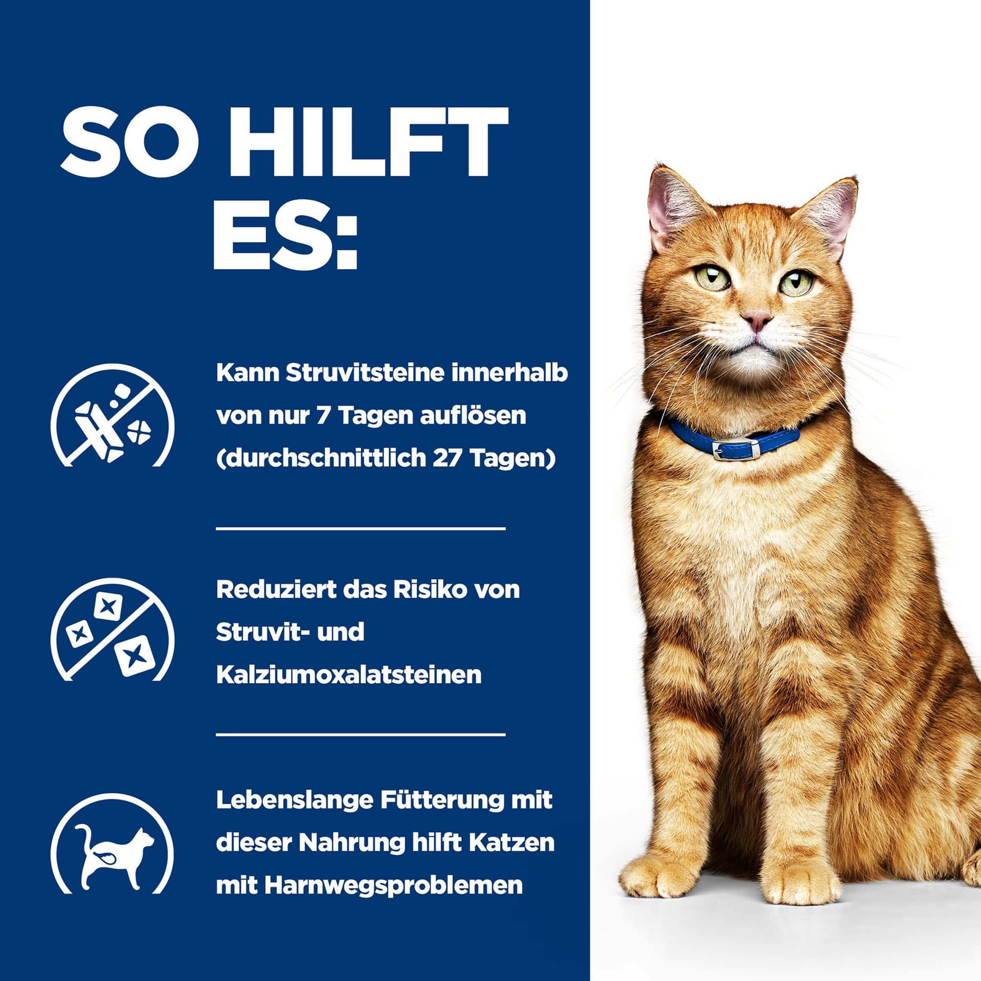 Katze Prescription Diet c/d Multicare Urinary Huhn