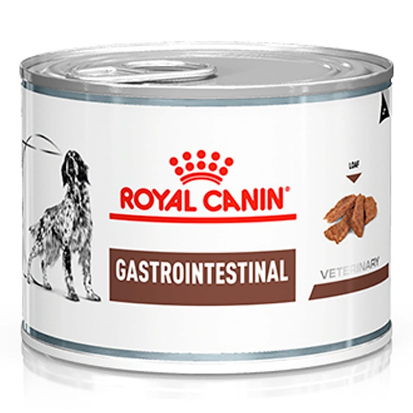 VET Hund Gastrointestinal