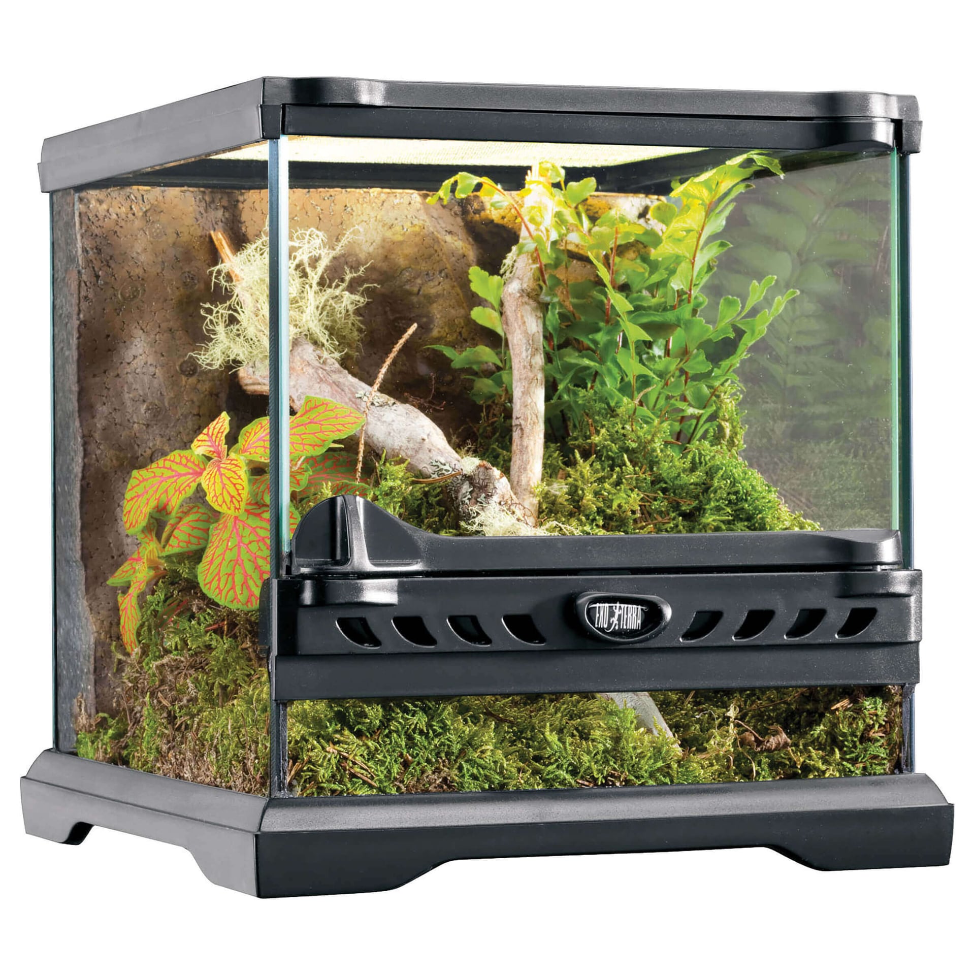 Nano Glas Terrarium