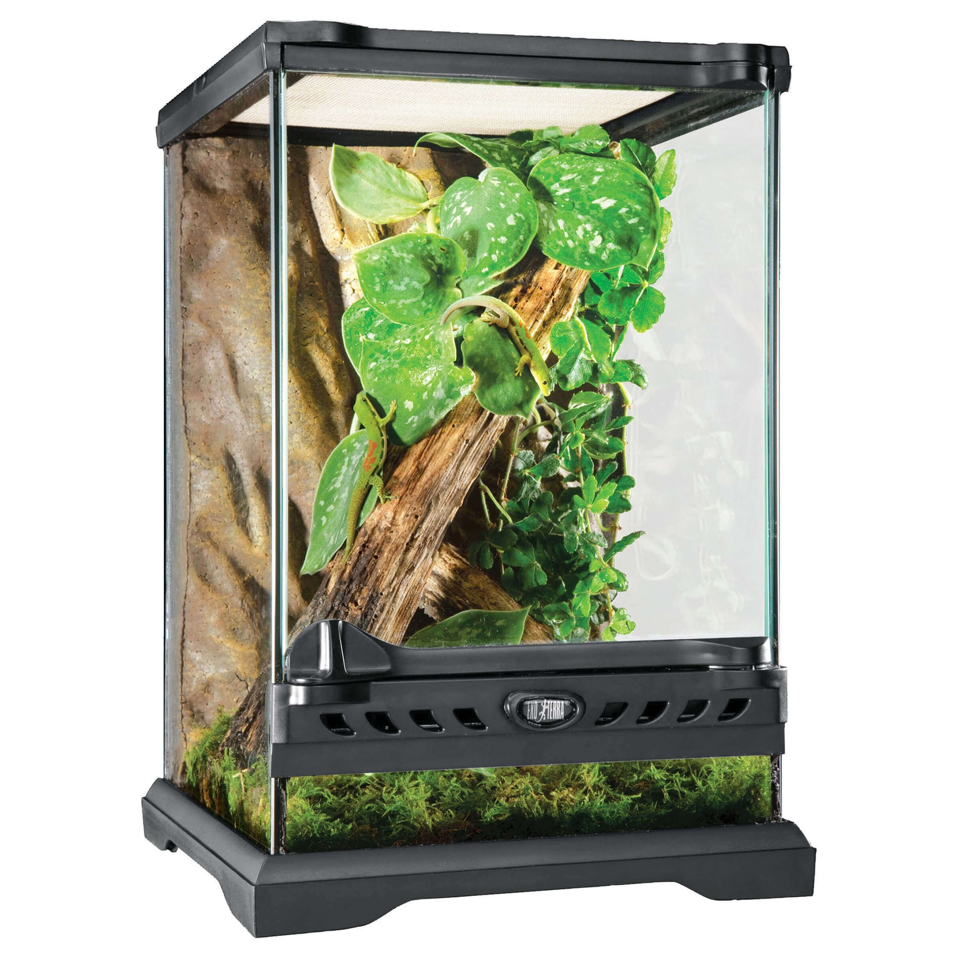 Nano Glas Terrarium