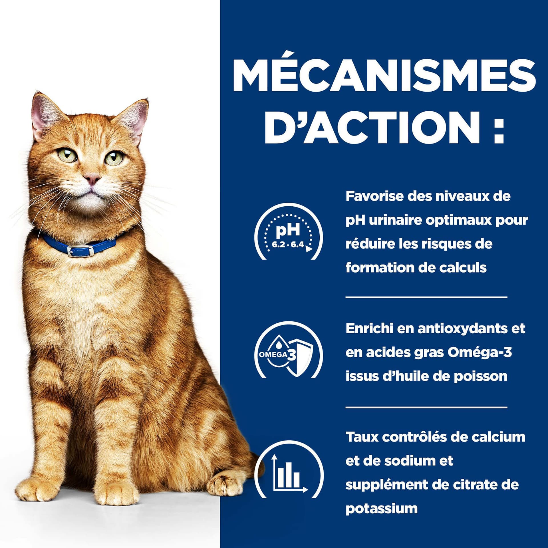 Katze Prescription Diet c/d Multicare Urinary Huhn