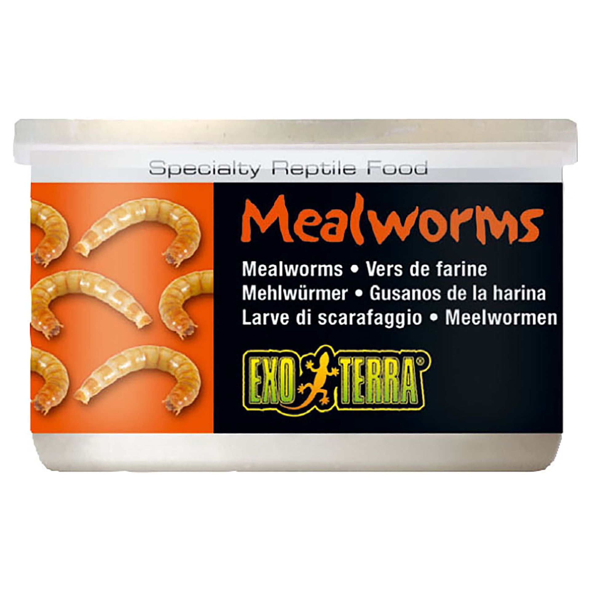 Reptilienfutter Mealworms