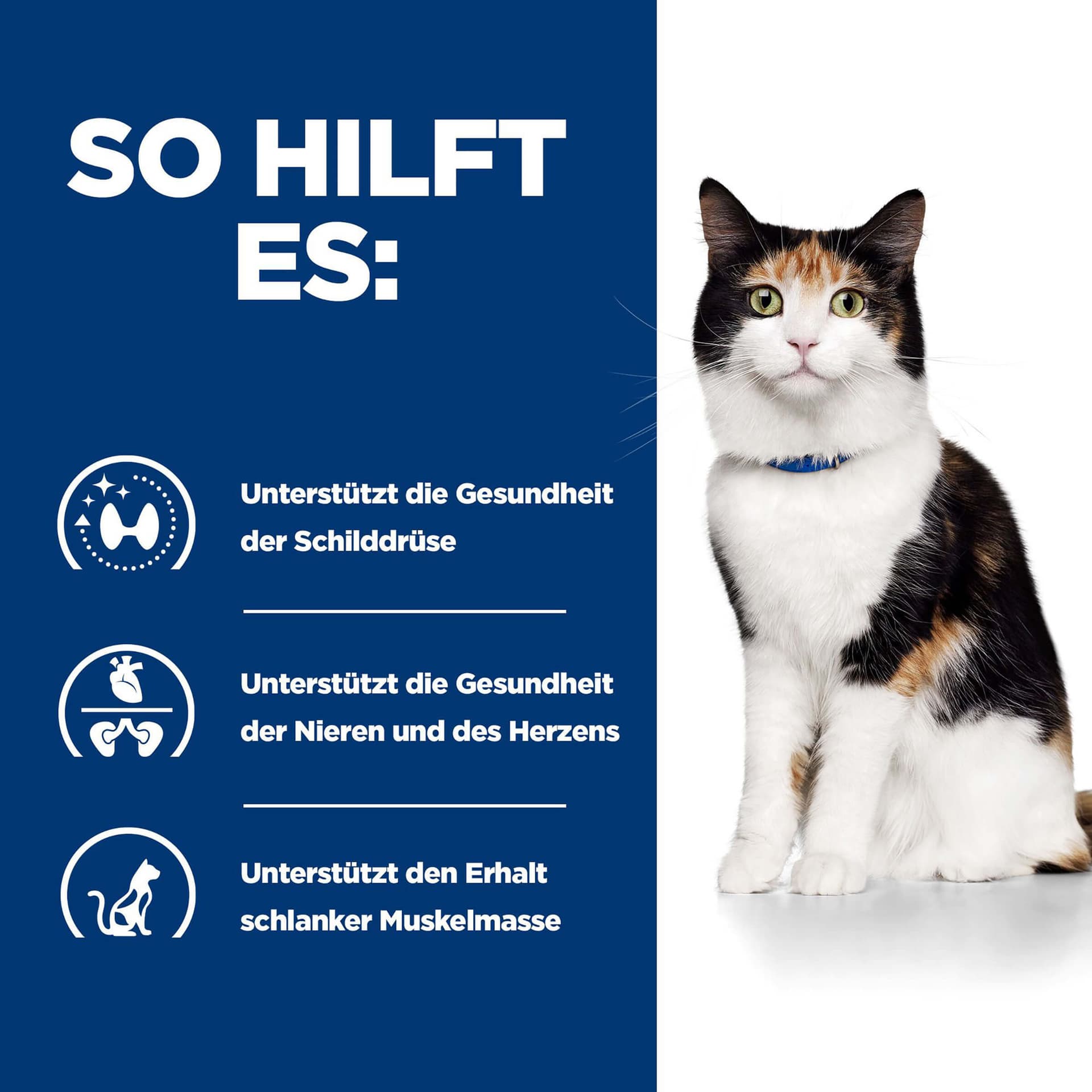 Katze Prescription Diet y/d Thyroid Health