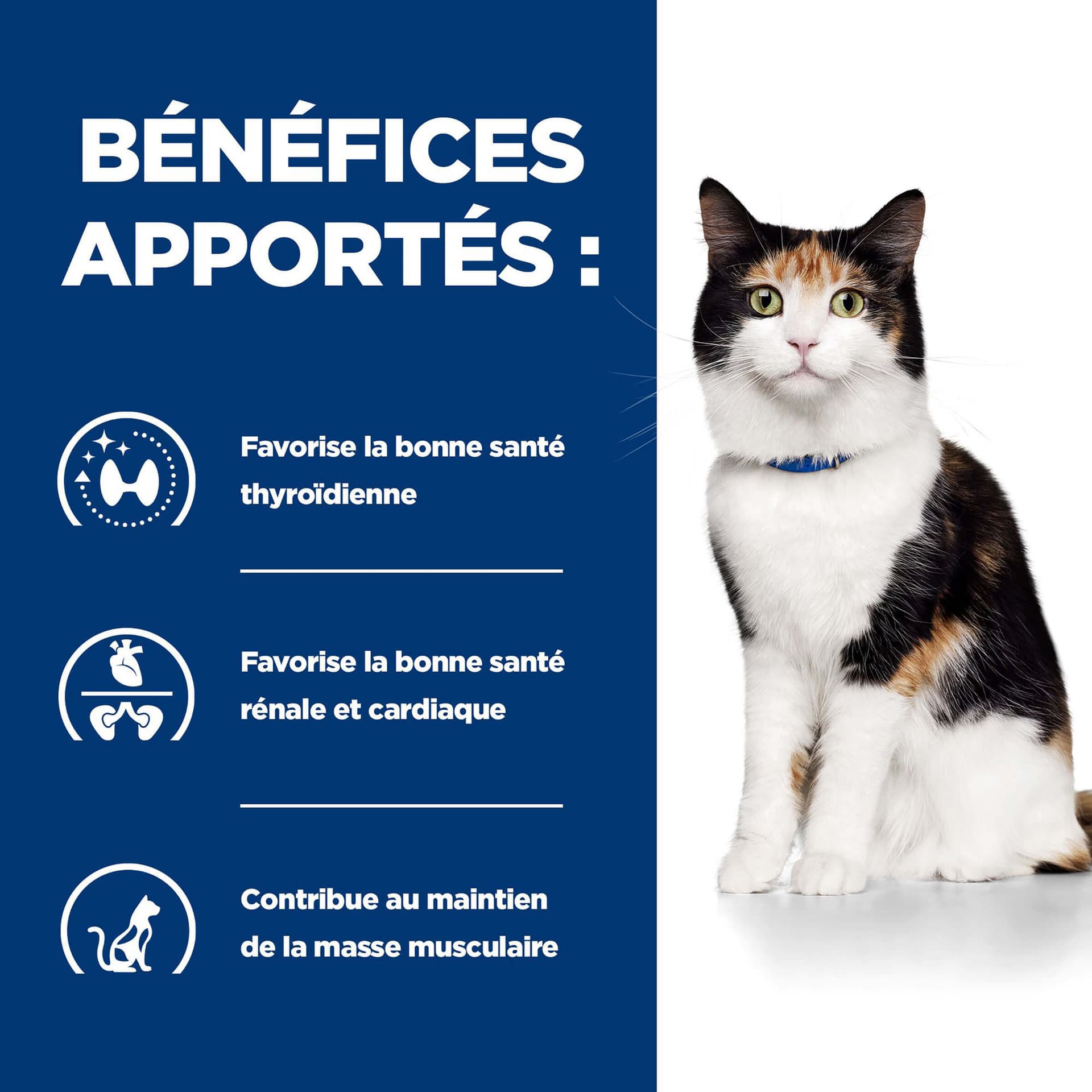 Katze Prescription Diet y/d Thyroid Health