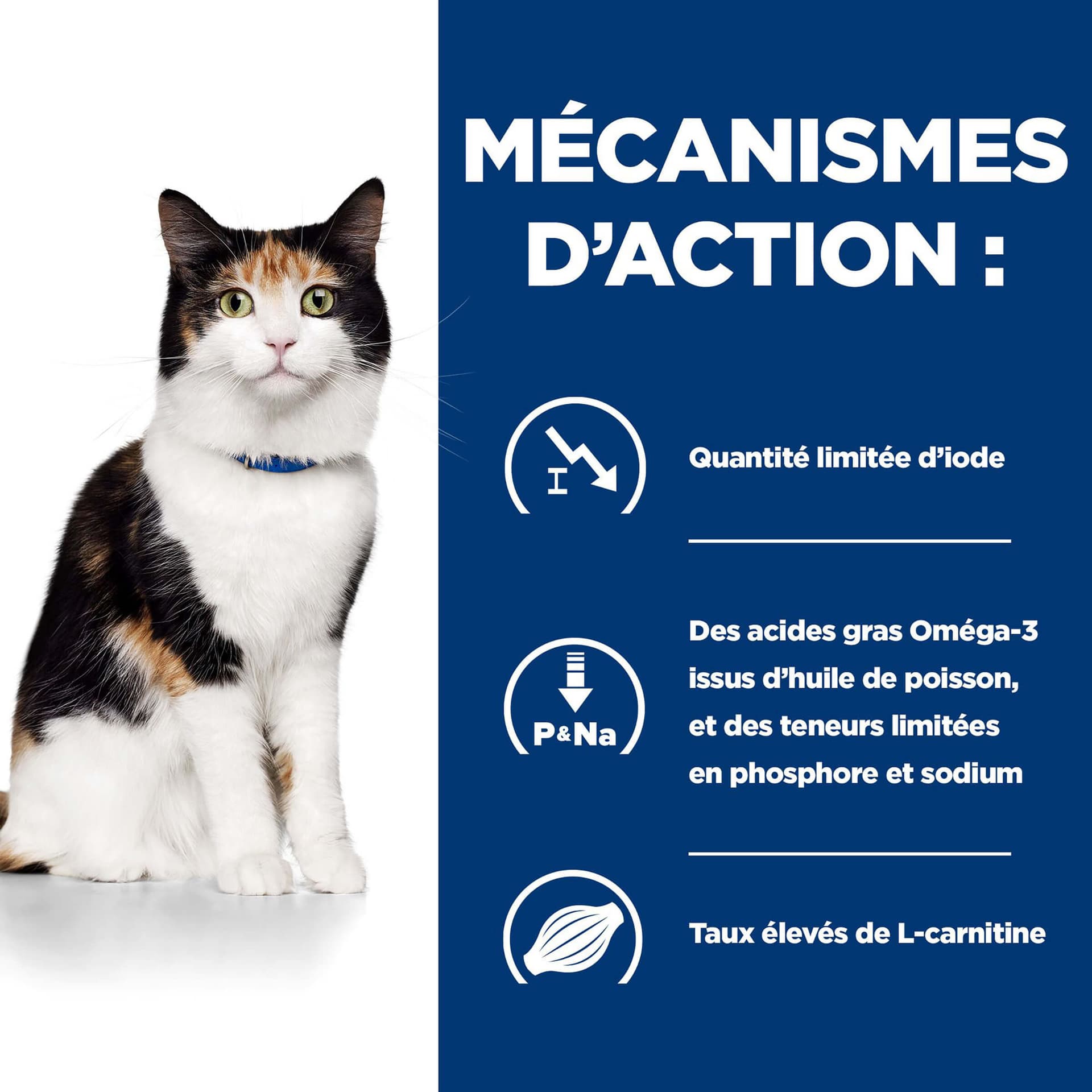 Katze Prescription Diet y/d Thyroid Health