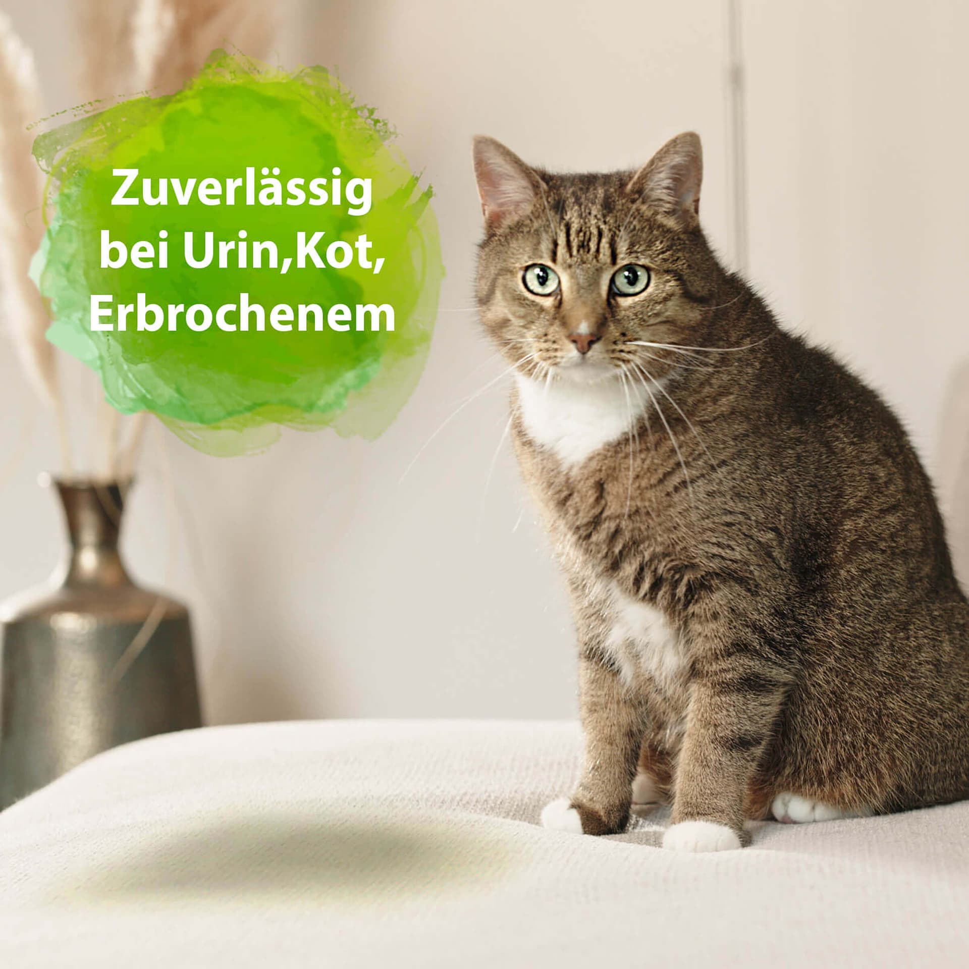 Geruchsentferner Spray