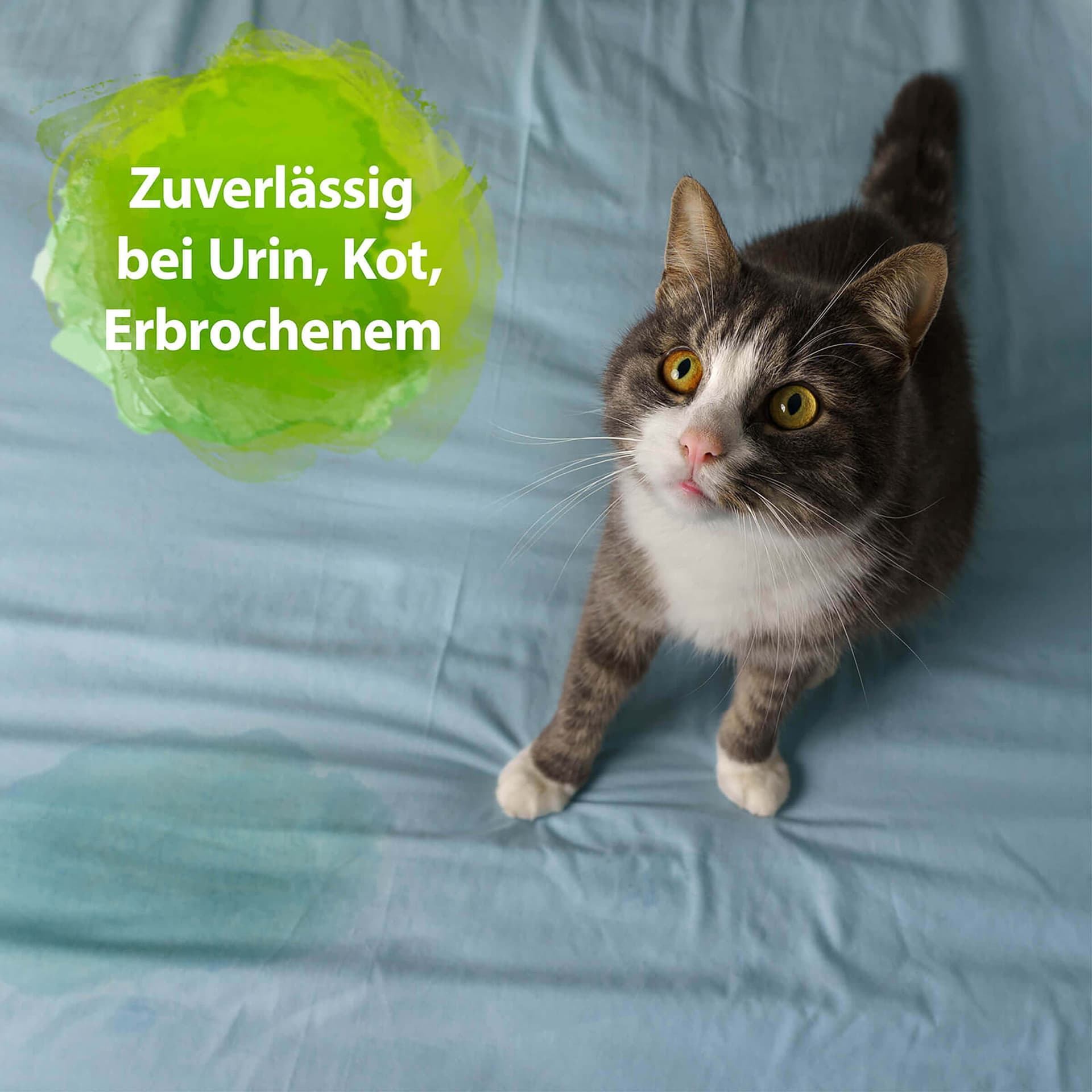 Wäschespülung Geruchsentferner