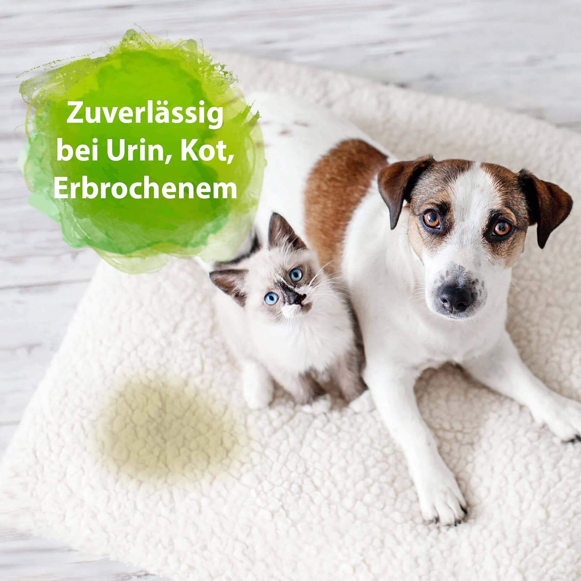 Geruchs- und Fleckenentferner Konzentrat