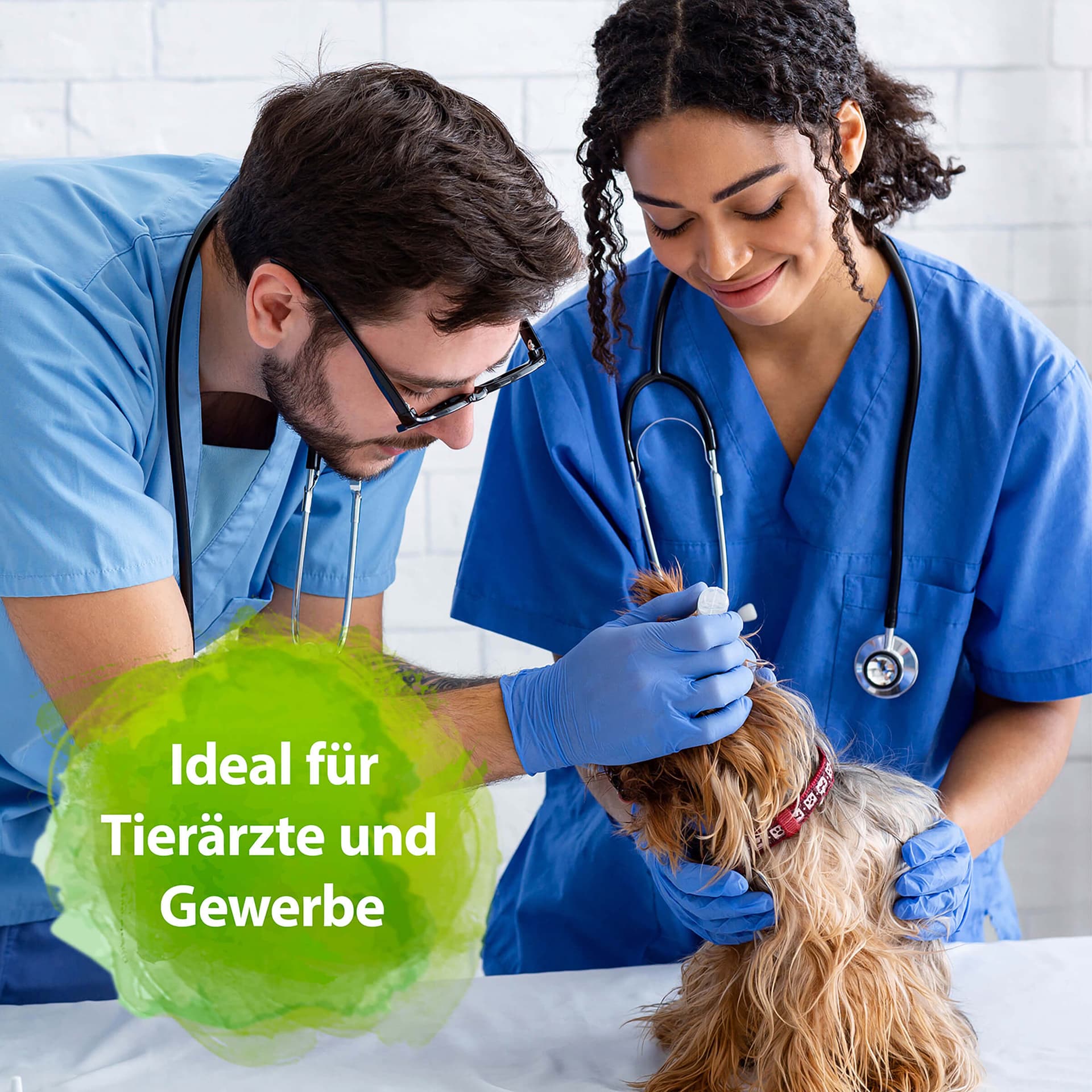 Geruchs- und Fleckenentferner Konzentrat