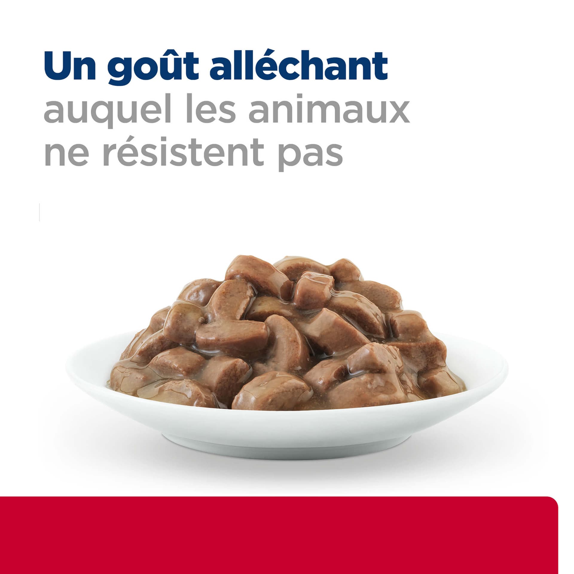 Katze Prescription Diet Urinary Care c/d Multicare Stress Lachs