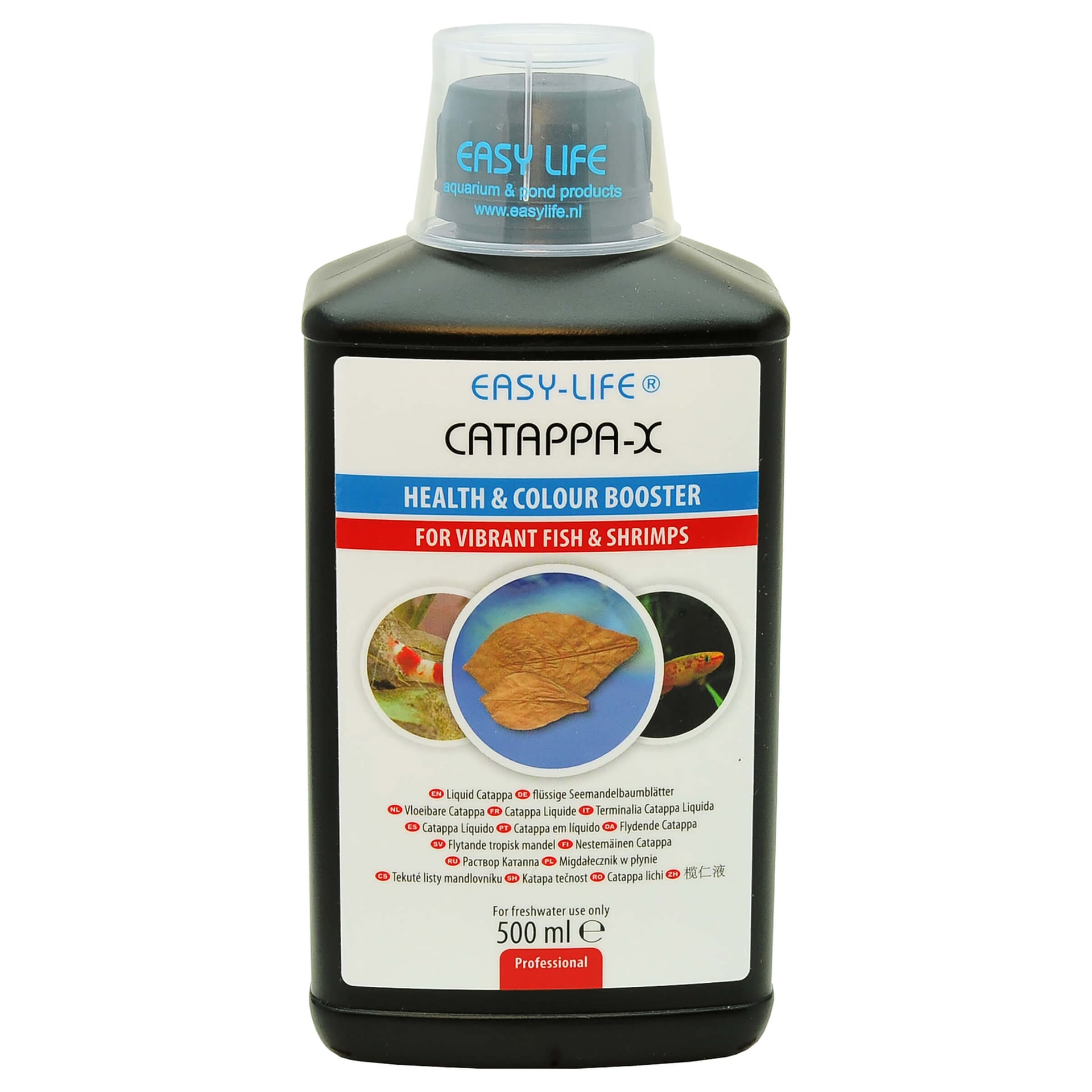 Catappa-X Seemandelbaumblätter