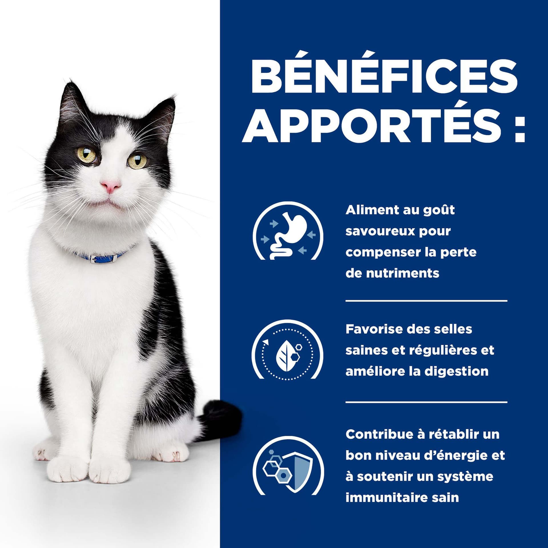 Katze Prescription Diet i/d Digestive Care Huhn & Gemüse