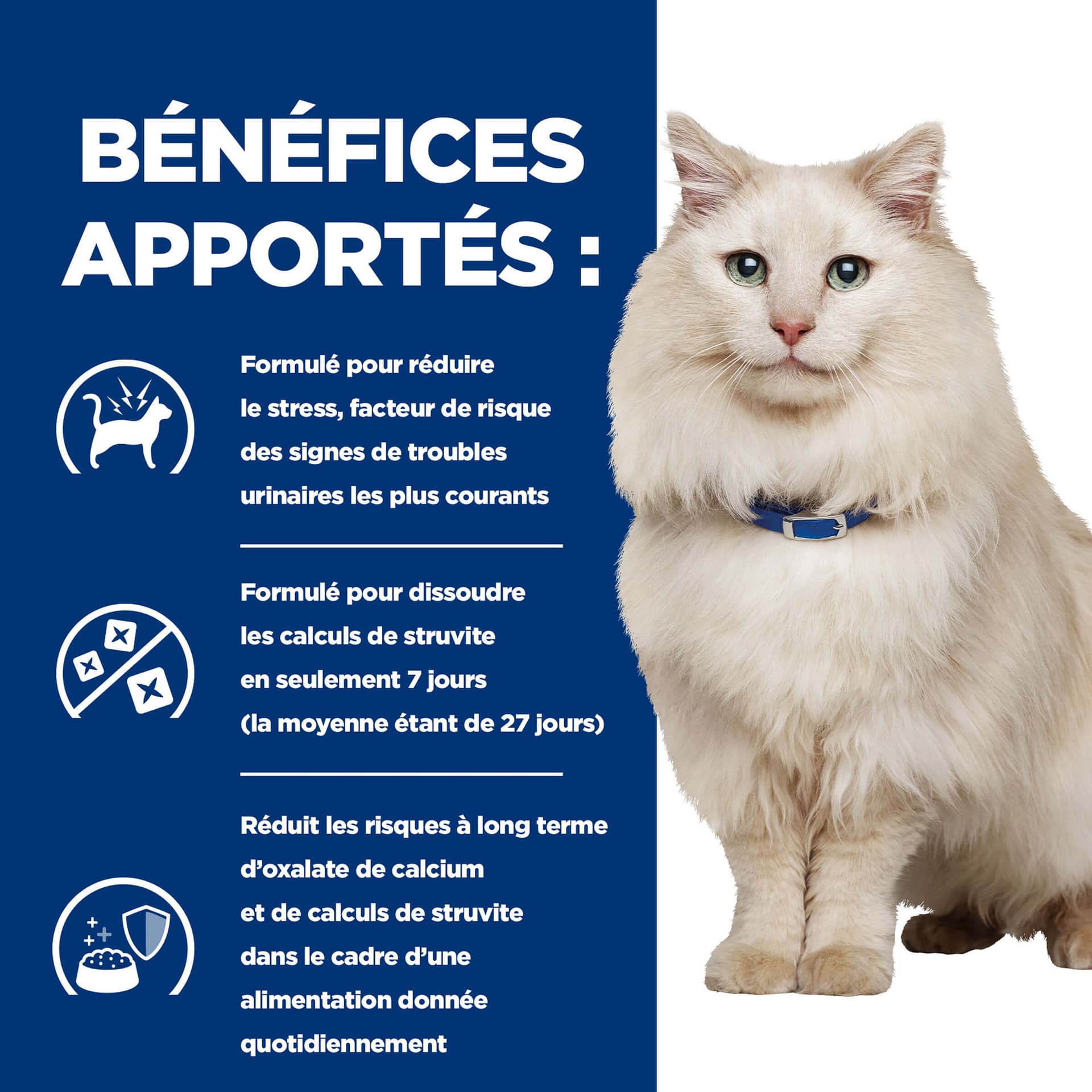 Katze Prescription Diet Urinary Care c/d Multicare Stress Lachs