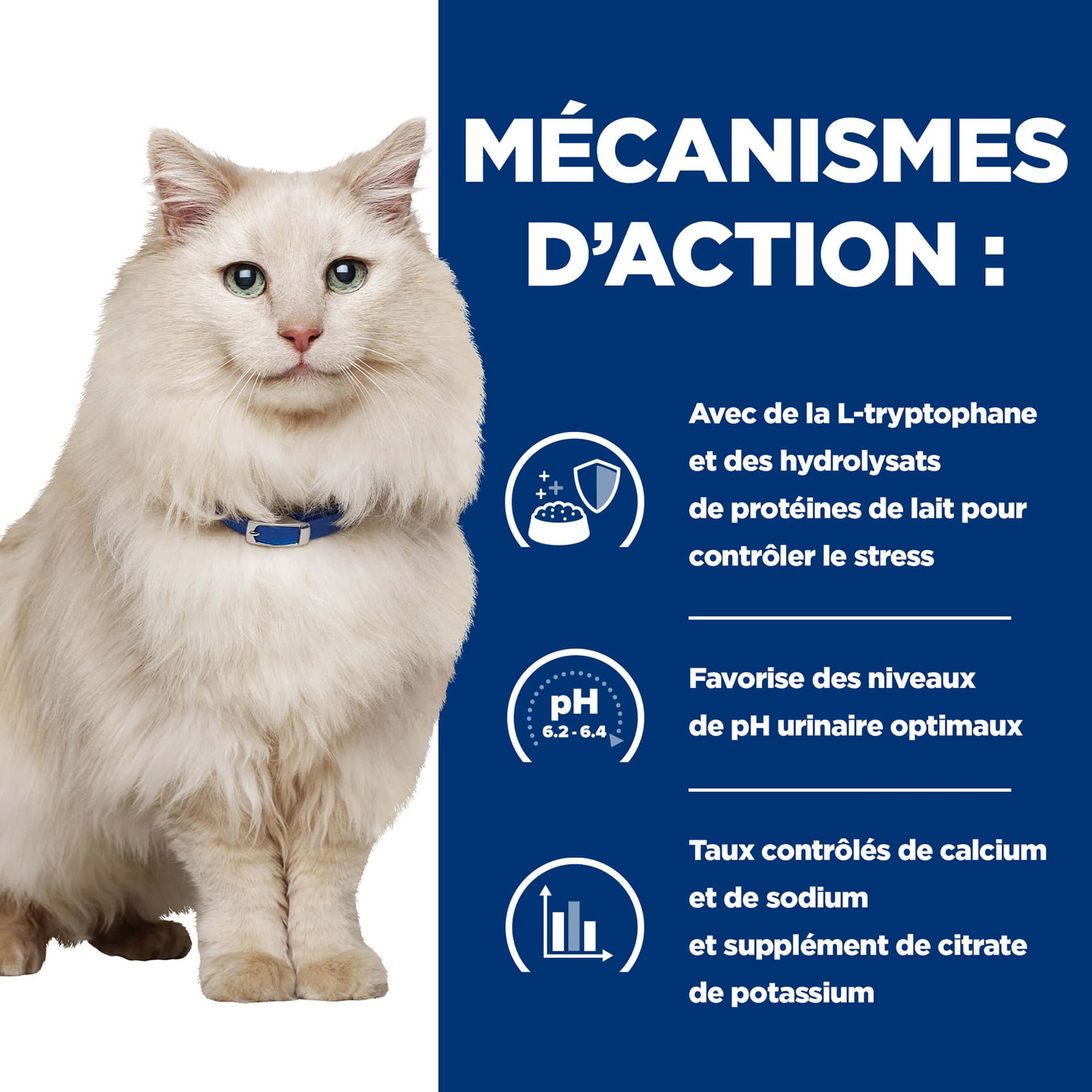 Katze Prescription Diet Urinary Care c/d Multicare Stress Lachs