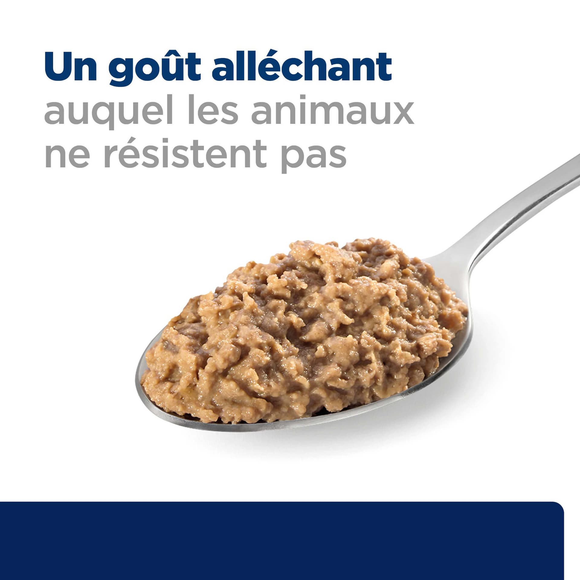 Katze Prescription Diet z/d Food Sensitivities