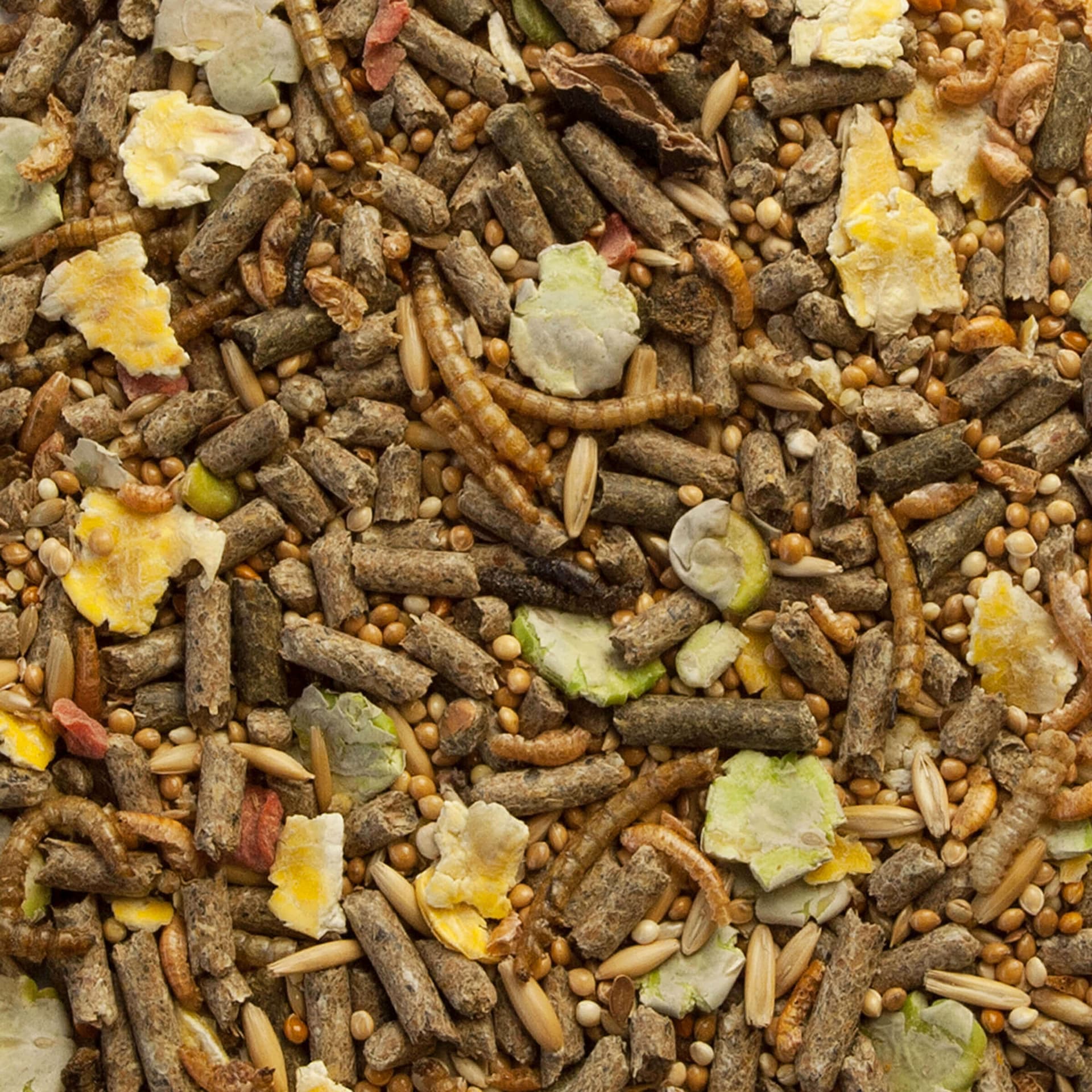 Swiss Nature Mix Rennmaus