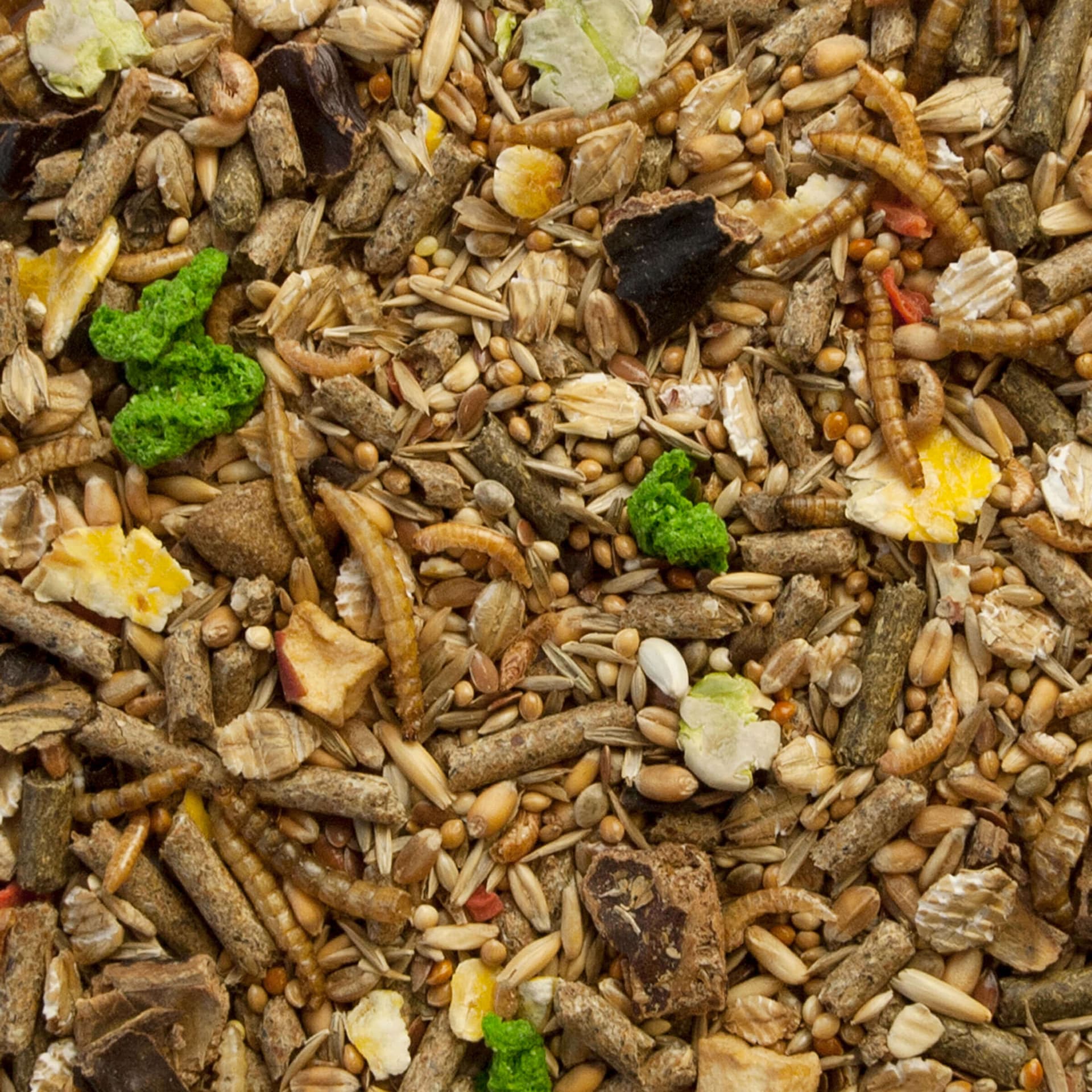 Swiss Nature Mix Farbmaus