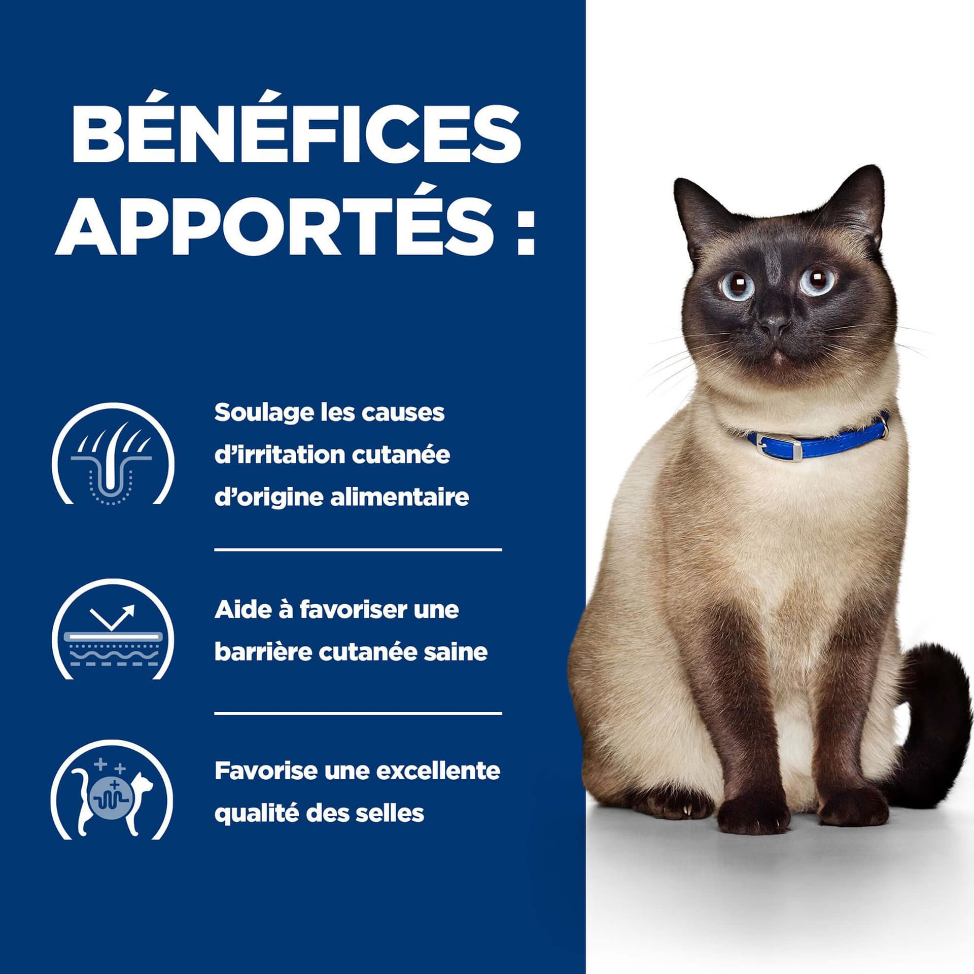 Katze Prescription Diet z/d Food Sensitivities