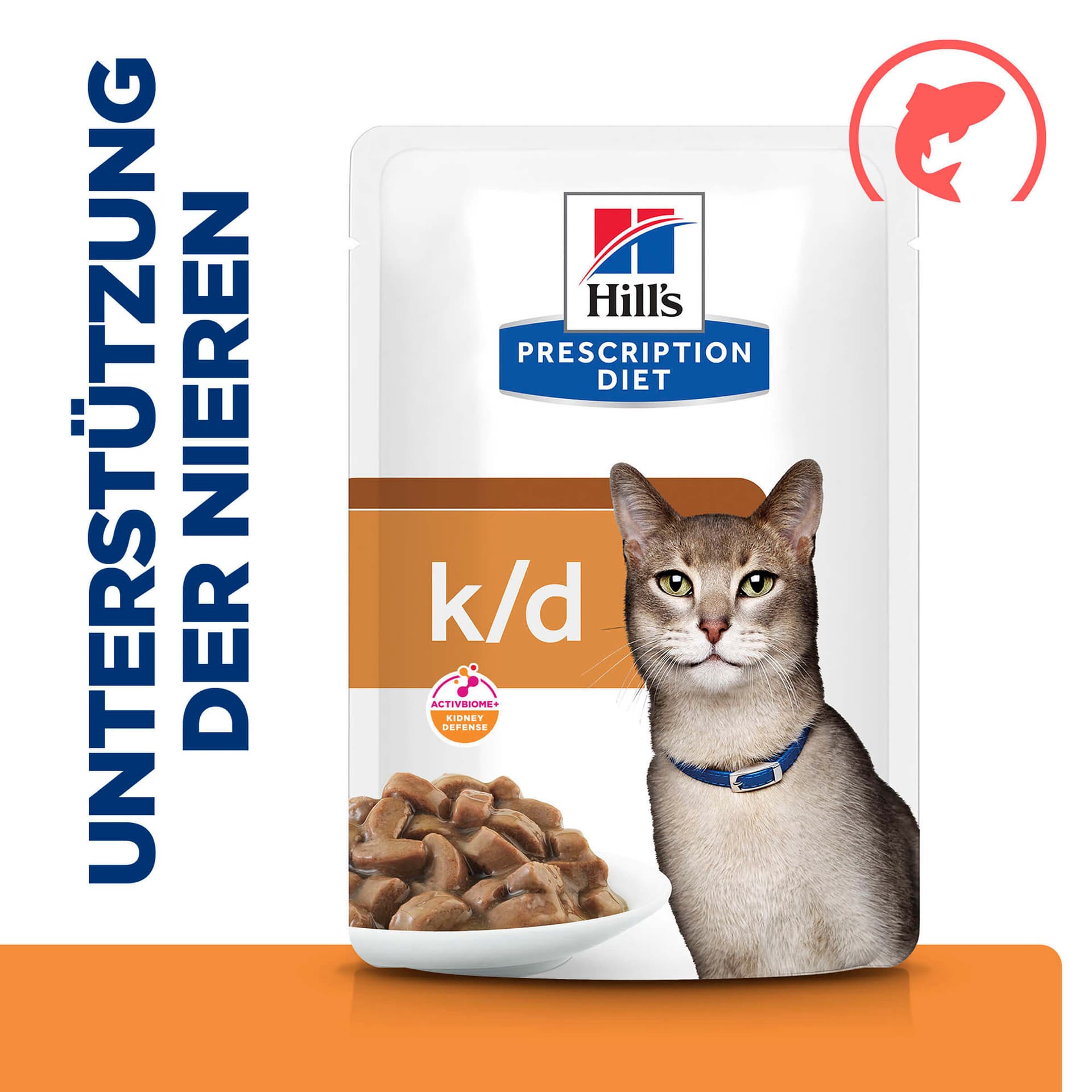 Katze Prescription Diet k/d Renal Health Lachs