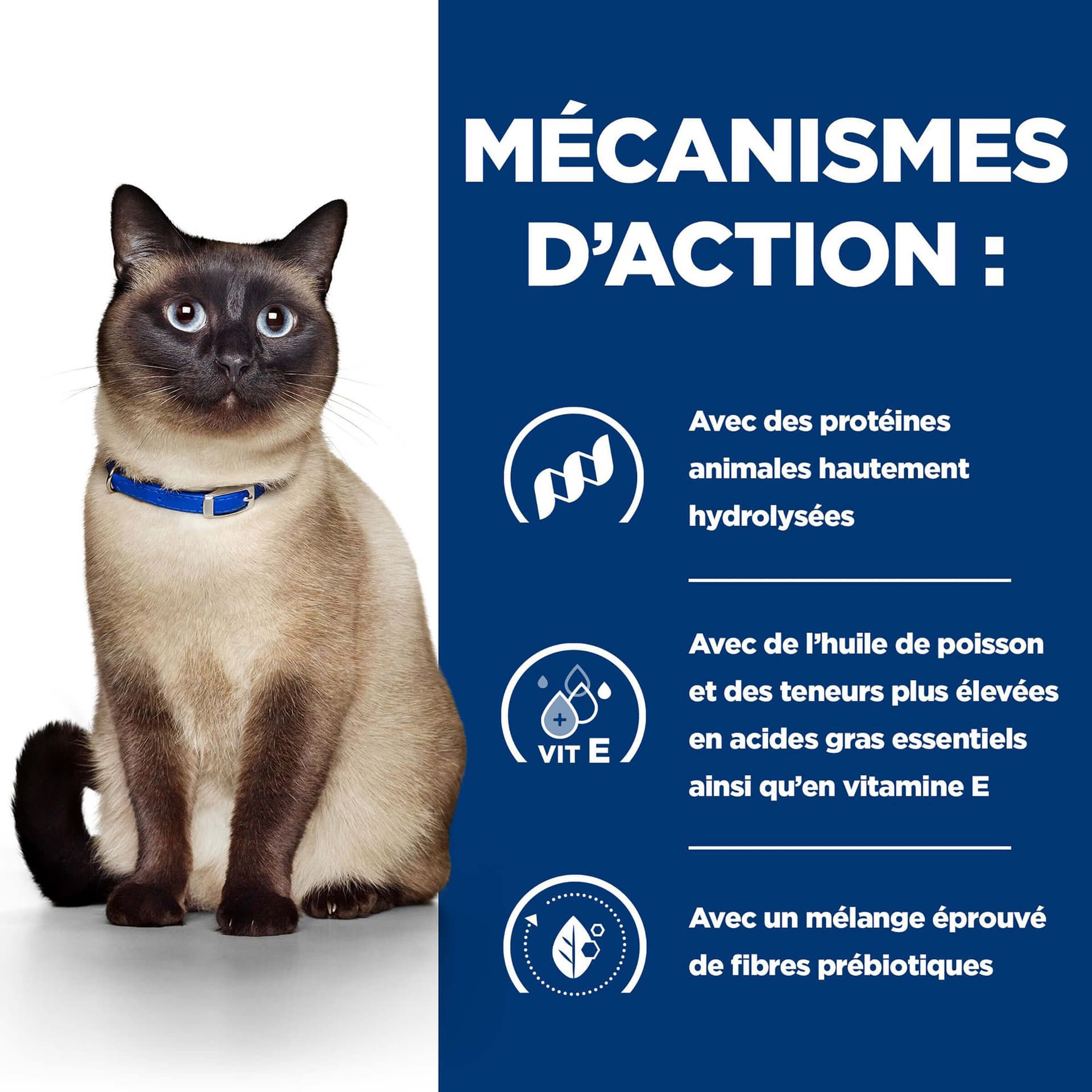 Katze Prescription Diet z/d Food Sensitivities