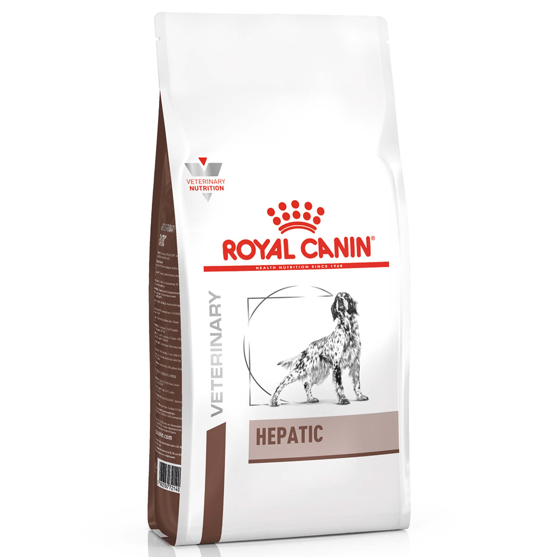 Hund Hepatic