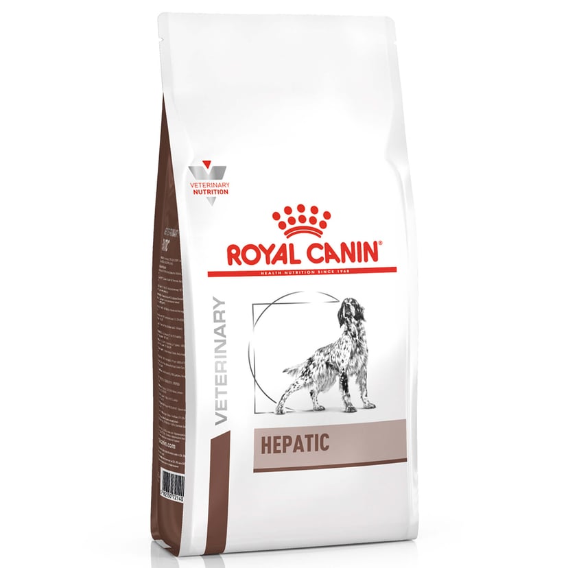 Hund Hepatic